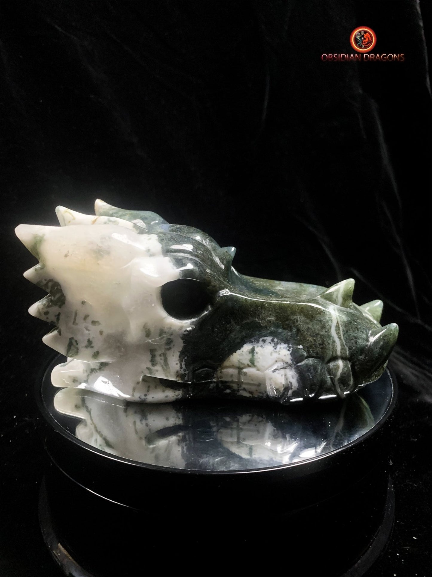 crâne de dragon massif- Agate mousse d'indonésie | obsidian dragons