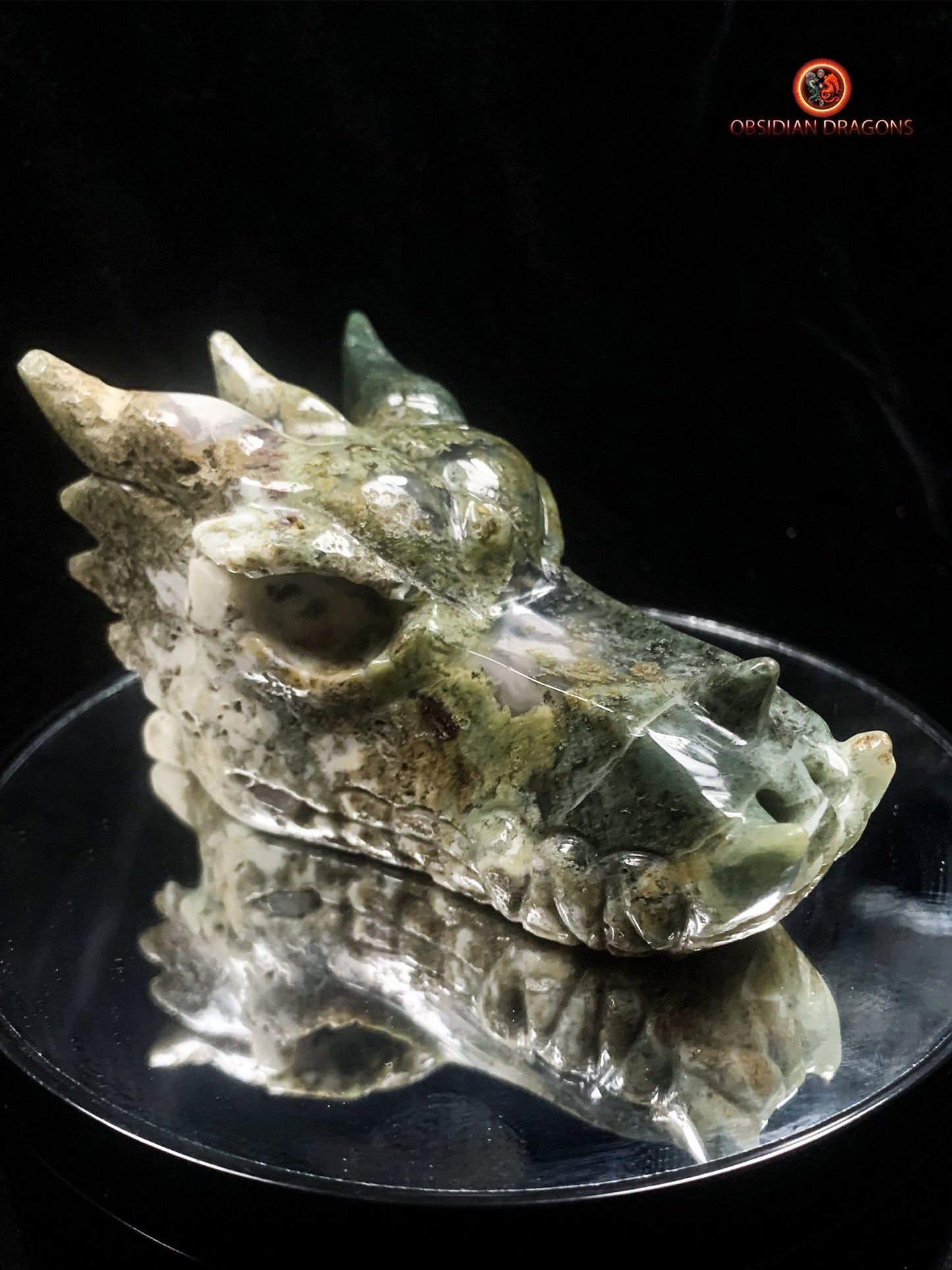 crâne de dragon- Agate mousse- Naturel | obsidian dragons