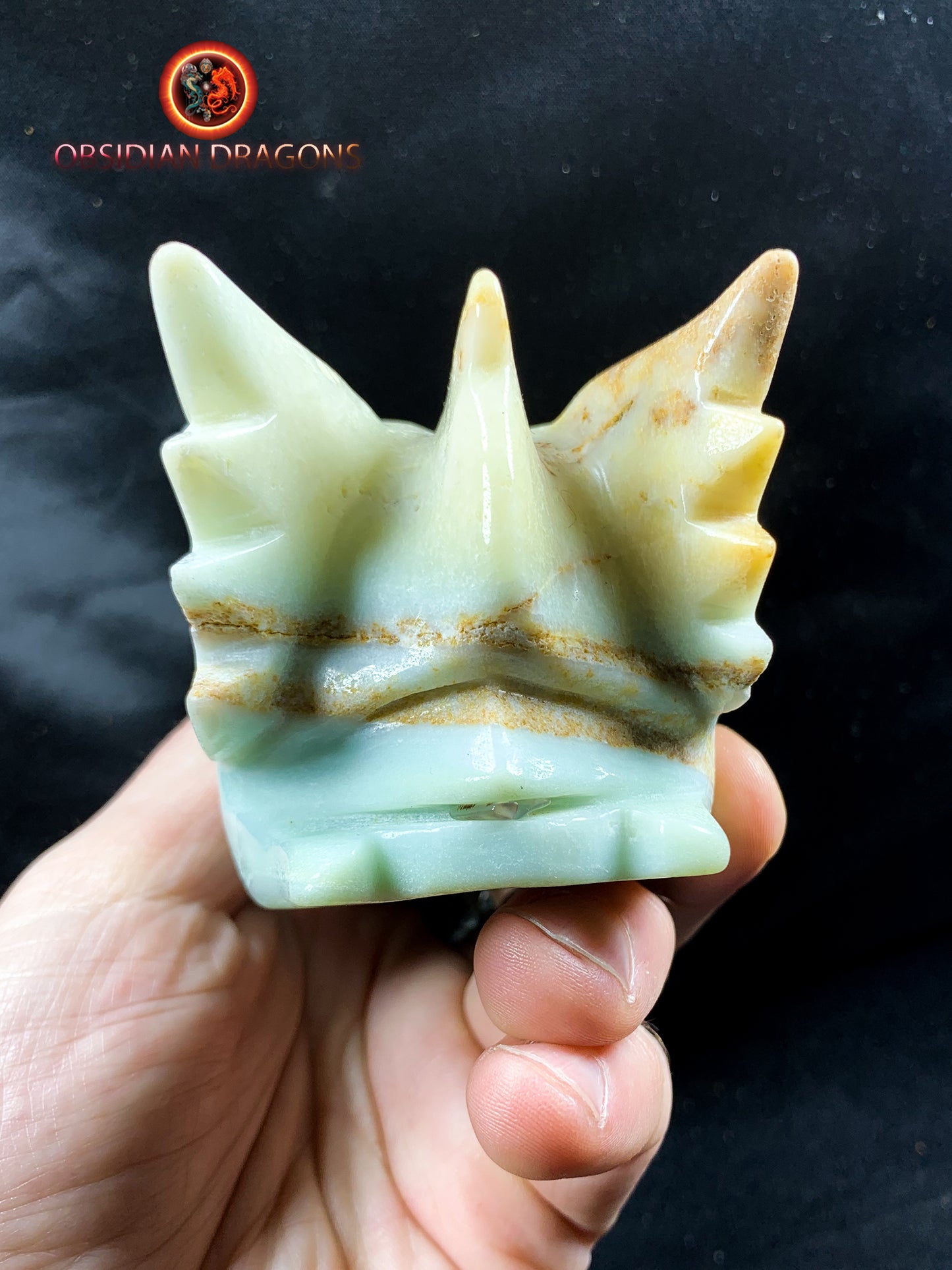 Crâne de dragon, tête de dragon, crâne de cristal, dragon skull