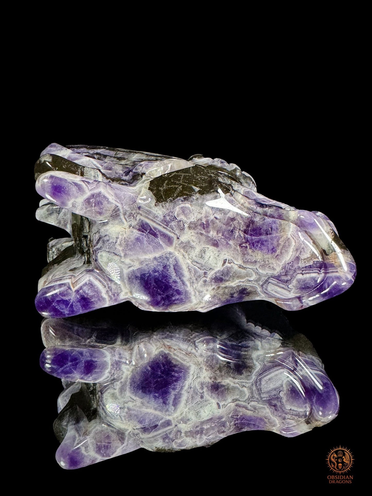Tête de dragon en améthyste chevron - Le survivant - obsidian dragons