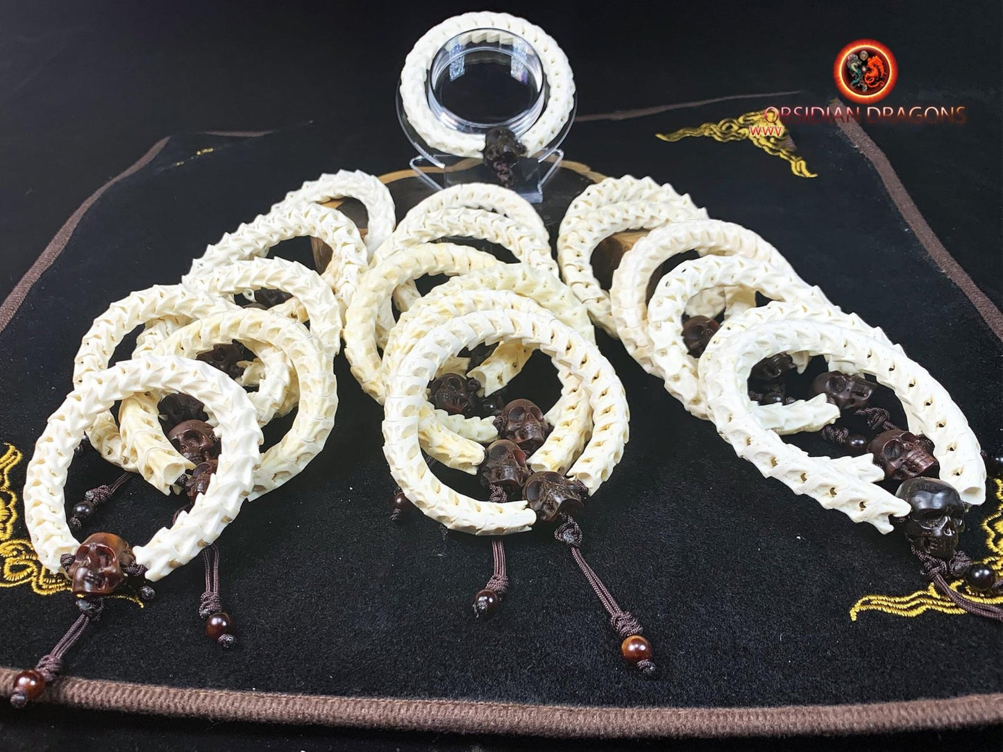Bracelet Serpent, Vertèbres & Crâne