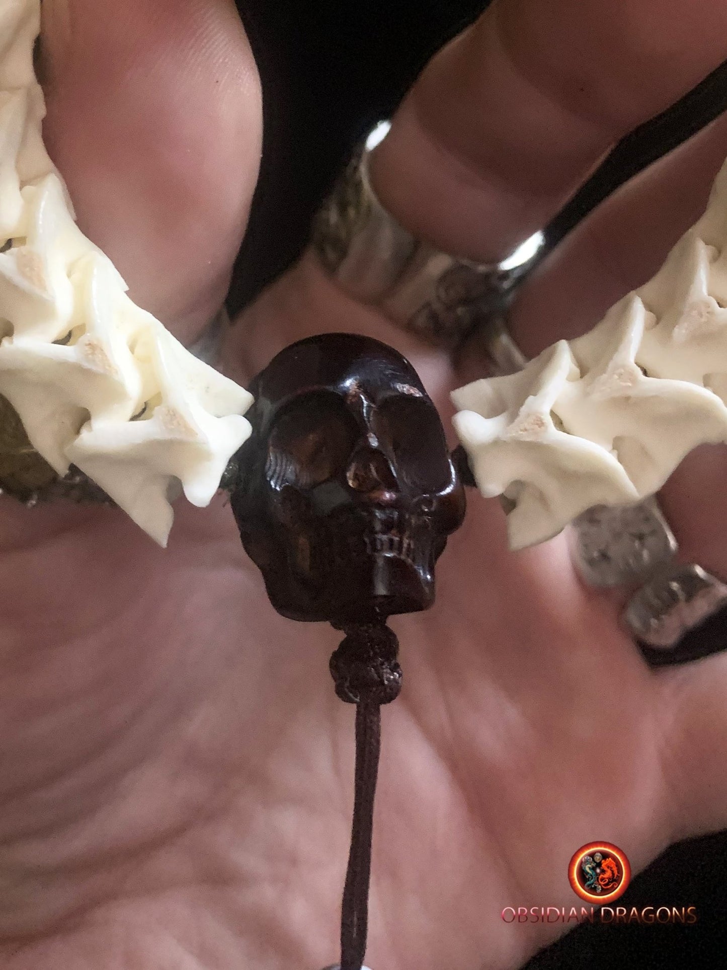 Bracelet en vertèbres de serpent- Tête de cobra naturalisée