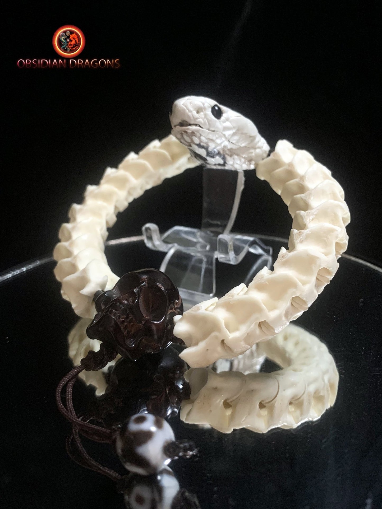 Bracelet en vertèbres de serpent- Tête de cobra naturalisée