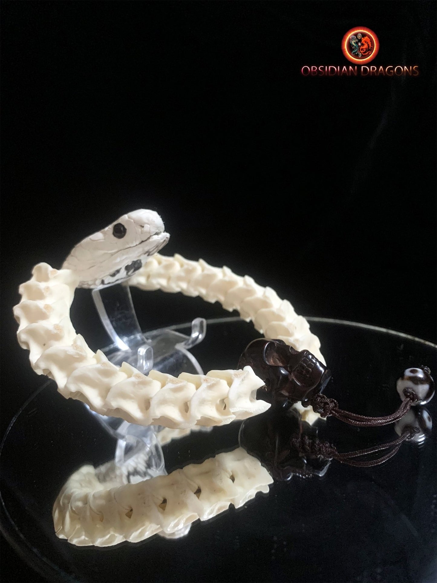 Bracelet en vertèbres de serpent- Tête de cobra naturalisée