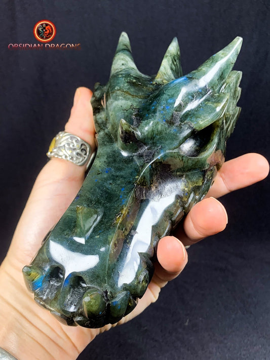 Grand crâne de dragon- Labradorite- Unique