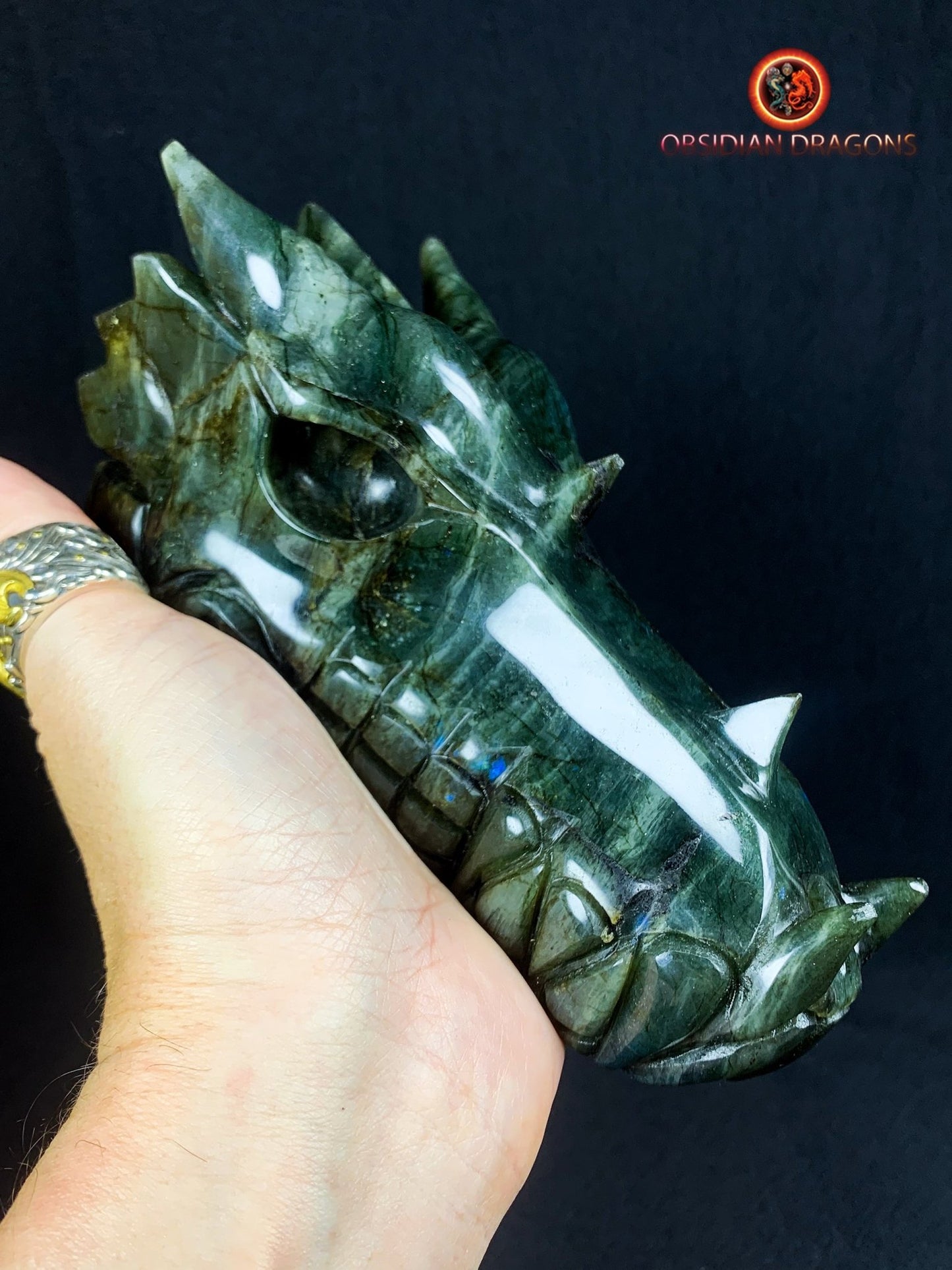 Grand crâne de dragon- Labradorite- Unique
