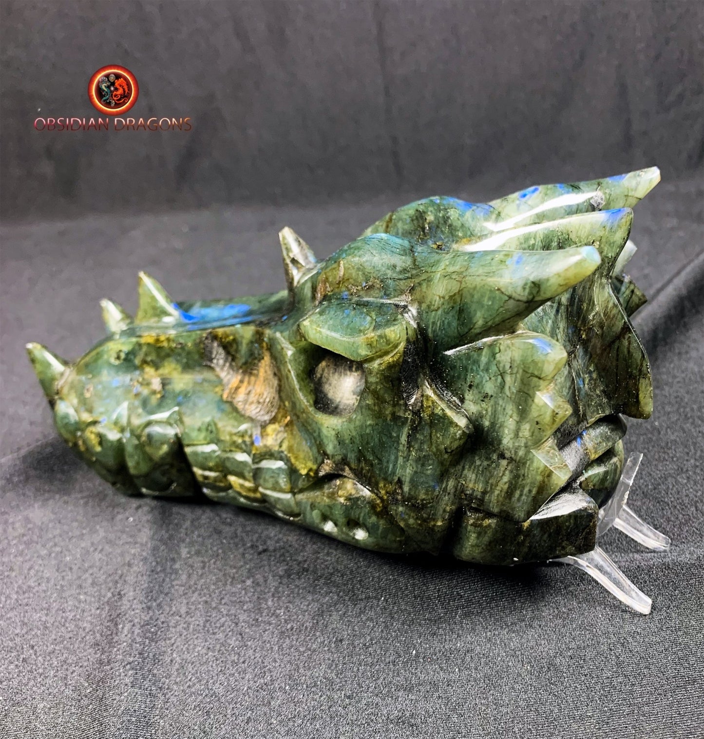 Grand crâne de dragon- Labradorite- Unique