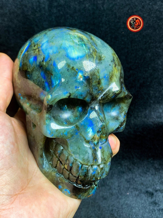 Crâne de cristal en labradorite- Unique et raregrand crane de cristal. Vanité. sculpté en pierre naturelle. Crane en labradorite de Madagascar. Pièce unique. tete de mort, meditation - obsidian dragon