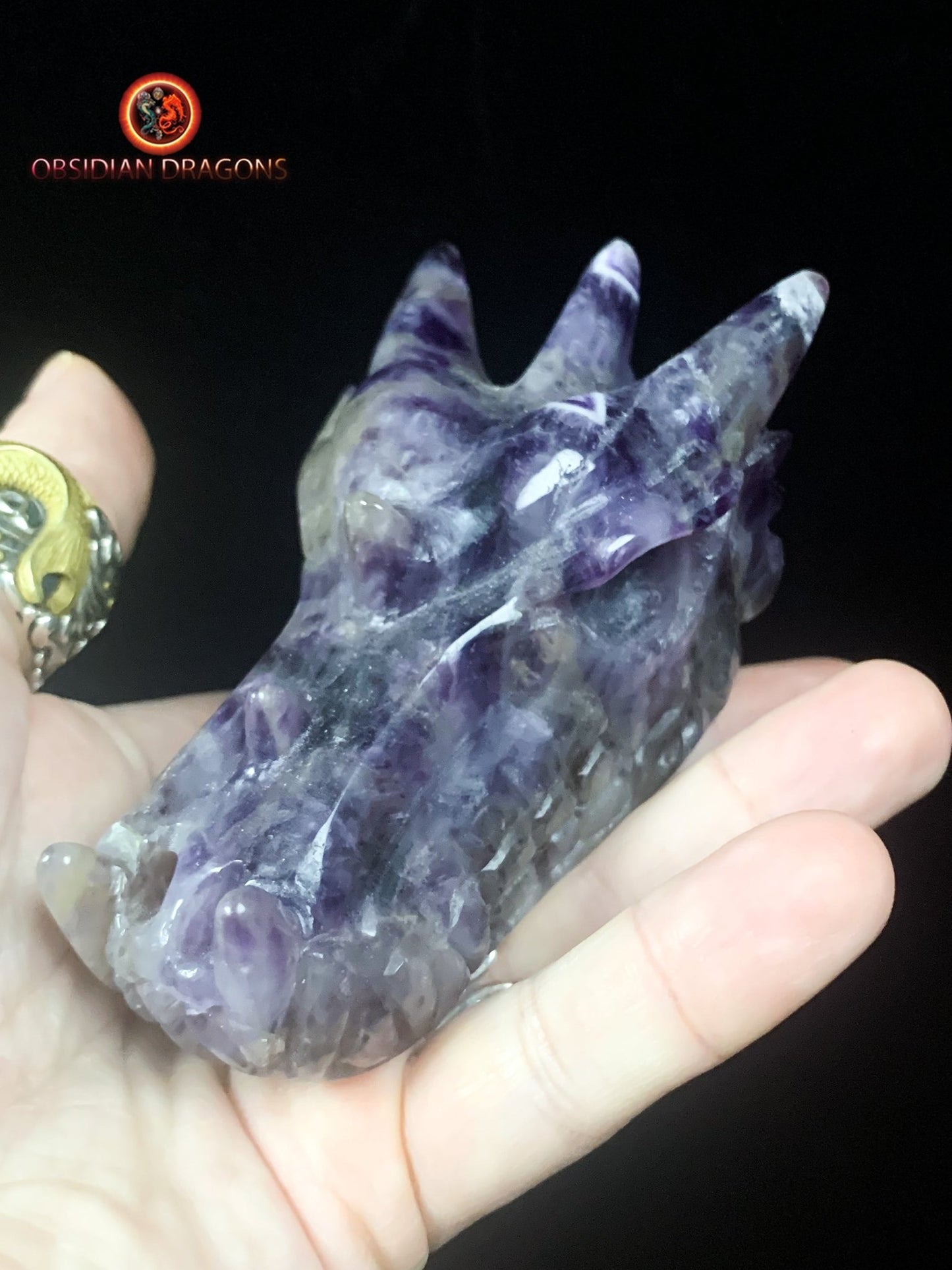 Crâne de dragon- Améthyste- Artisanal