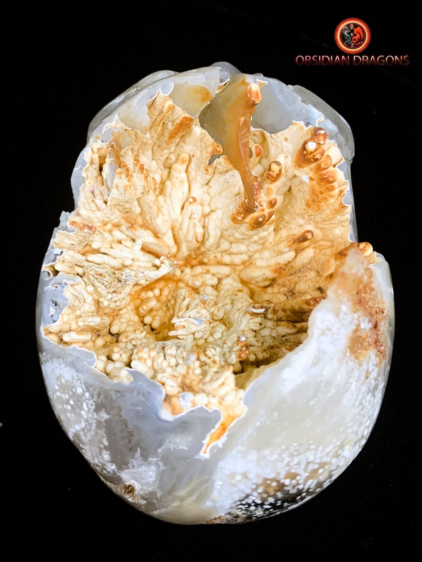 Crâne de cristal Rare- Concrétions stalactiformes
