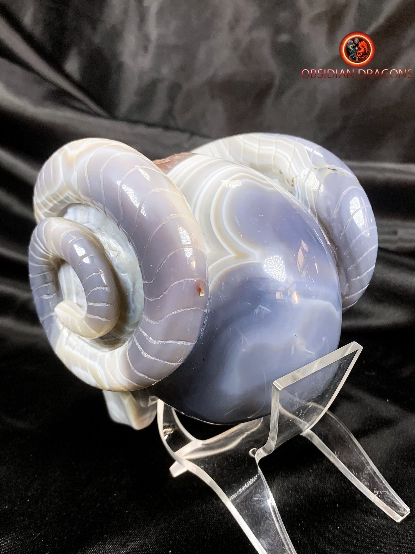 Crâne de cristal cornu- Géode de quartz- Unique