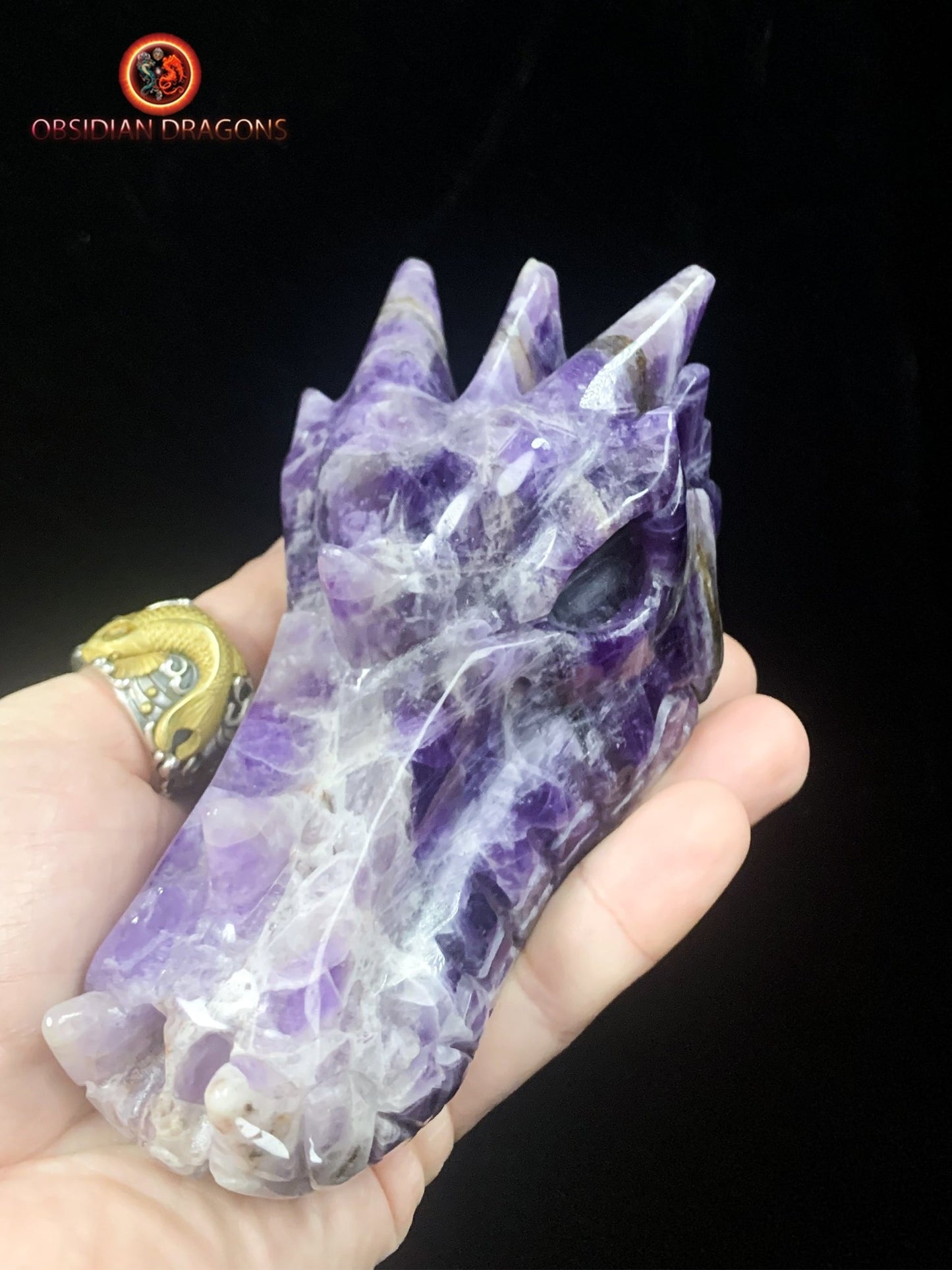 Grand crâne de dragon en améthyste- Artisanal