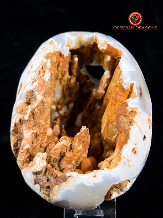 Crâne de cristal d'exception- Concrétions stalactiformes