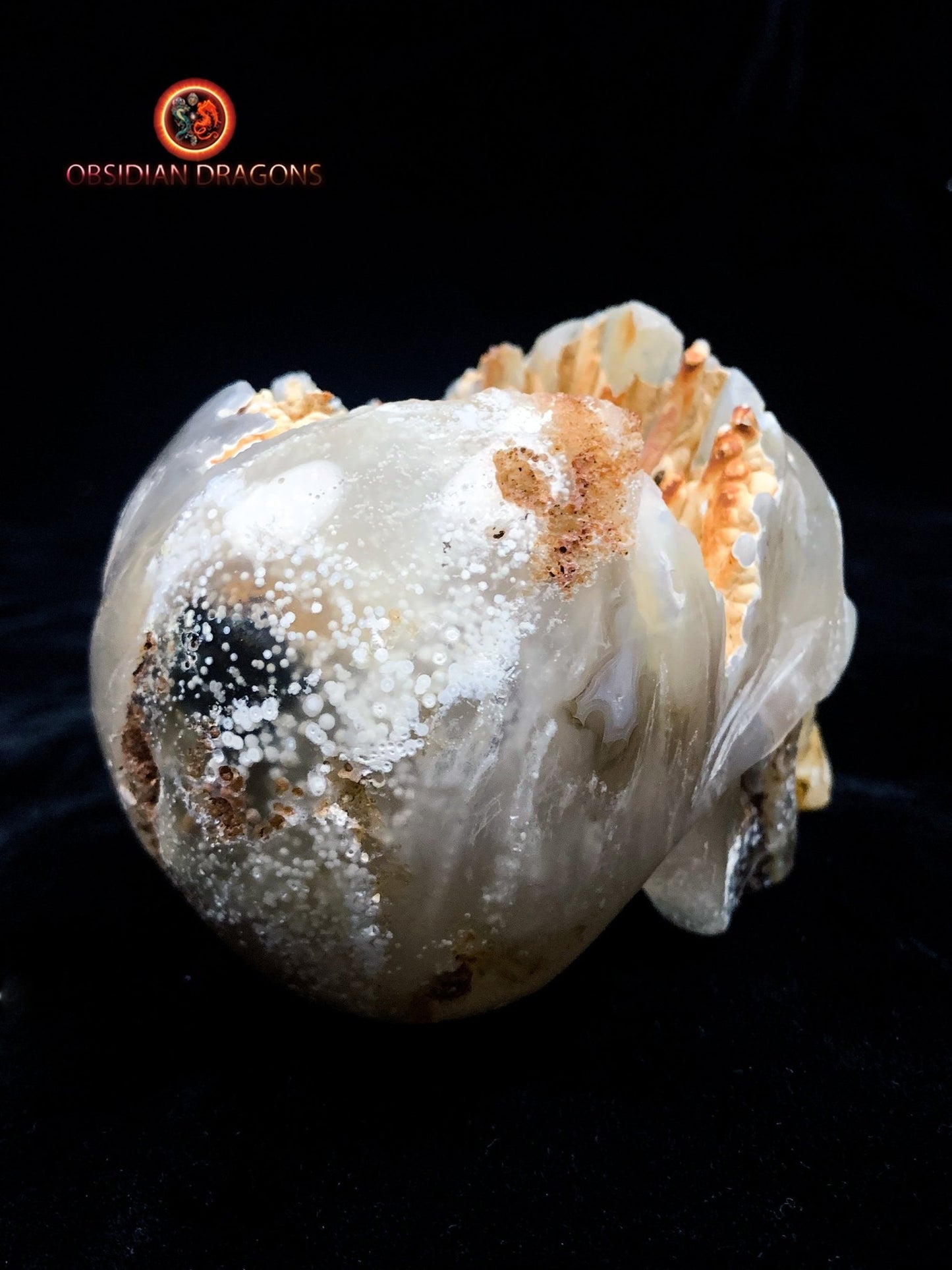 Crâne de cristal Rare- Concrétions stalactiformes