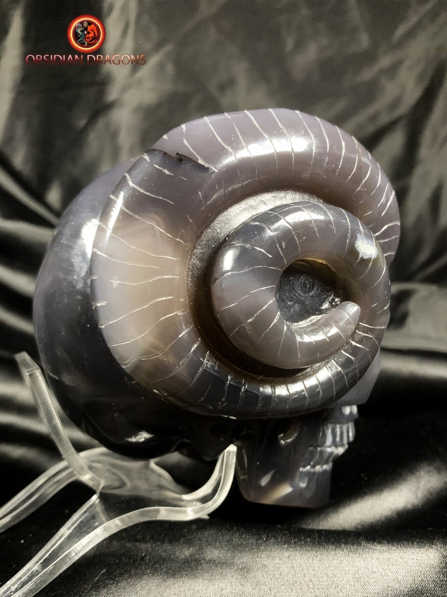 Crâne de cristal cornu- Géode d'améthyste- Unique
