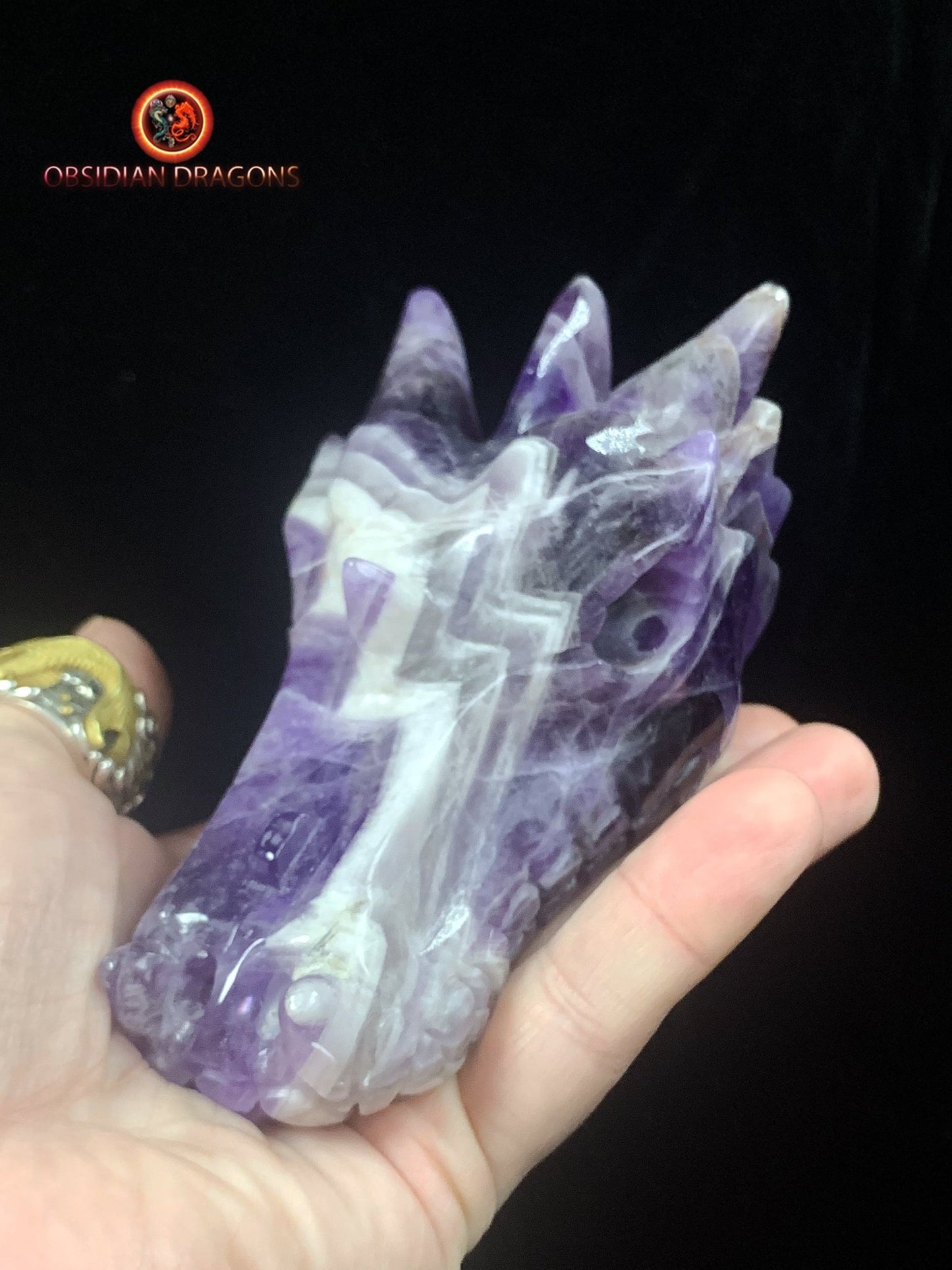 Crâne de dragon en améthyste chevron- Unique