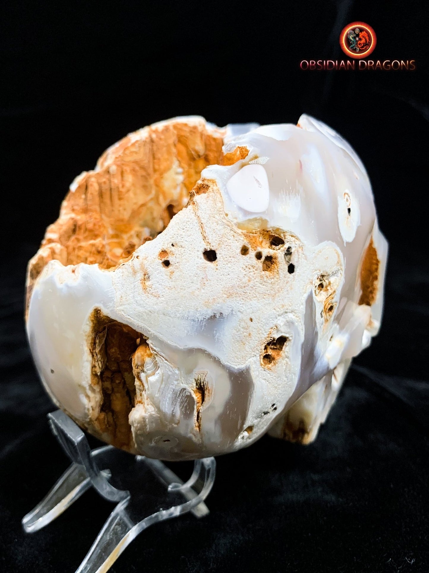 Crâne de cristal d'exception- Concrétions stalactiformes
