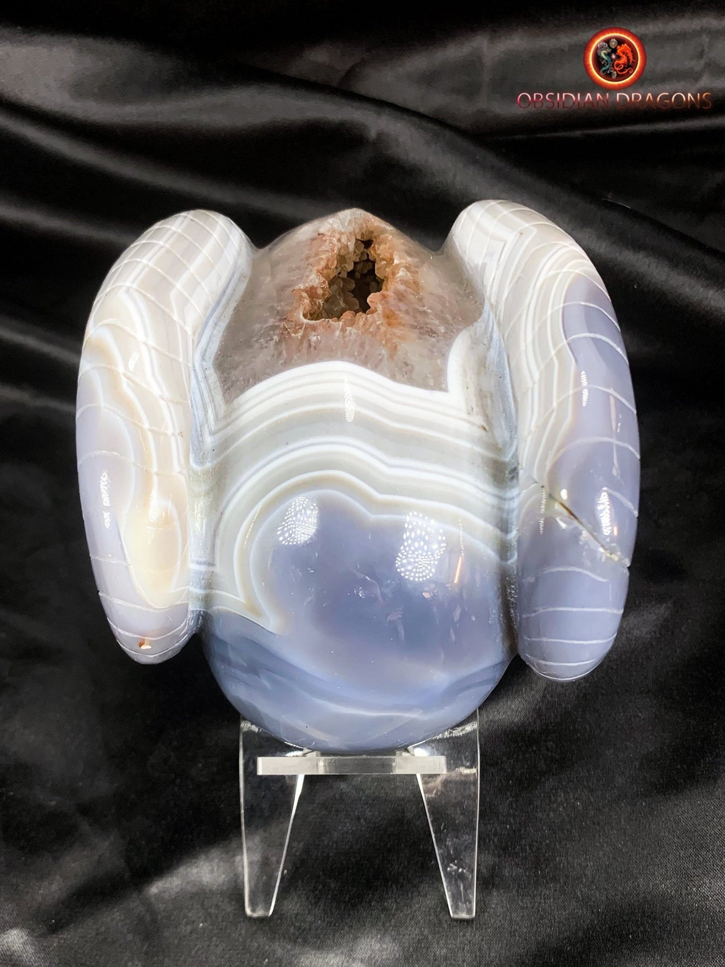 Crâne de cristal cornu- Géode de quartz- Unique
