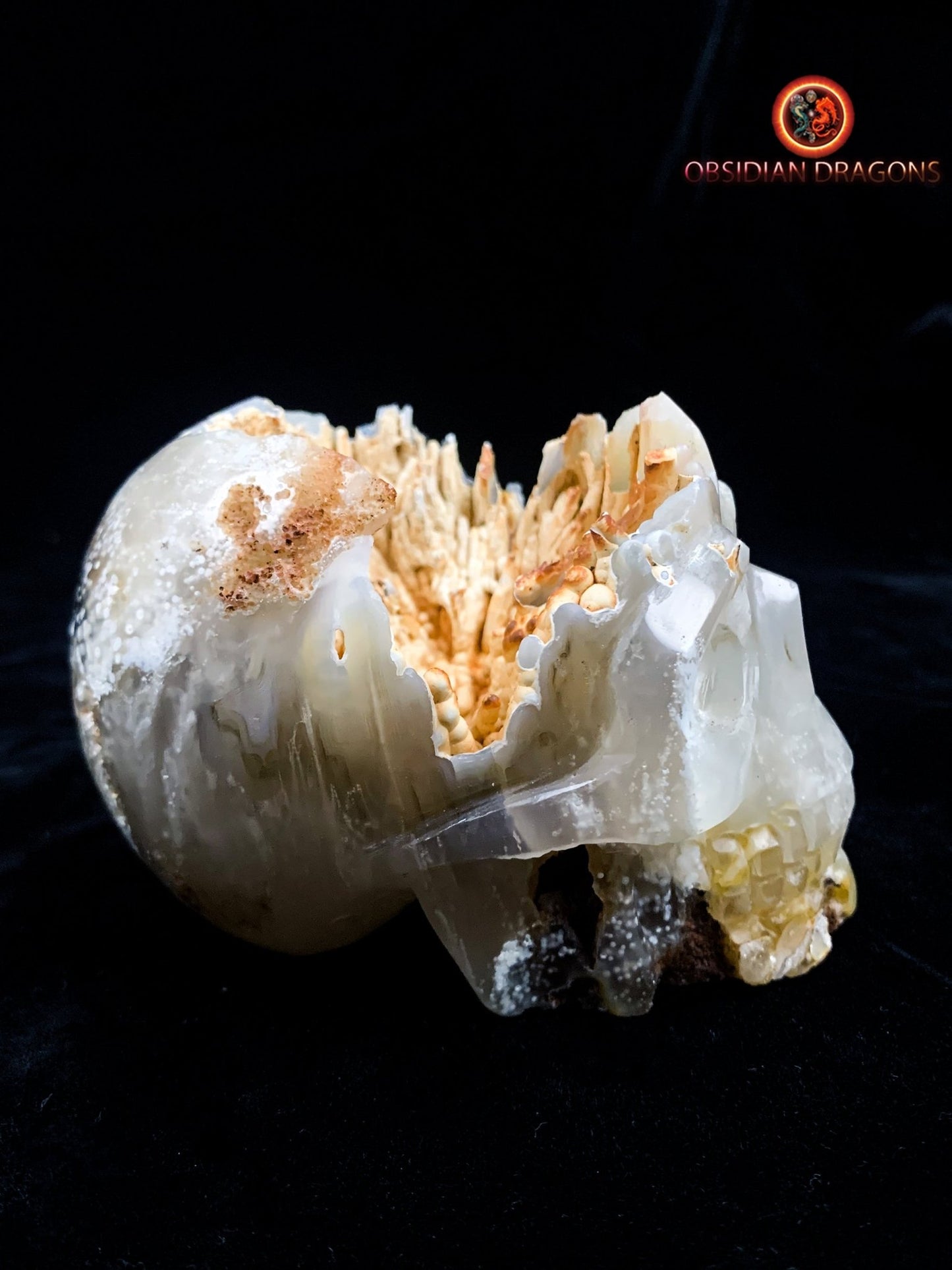 Crâne de cristal Rare- Concrétions stalactiformes