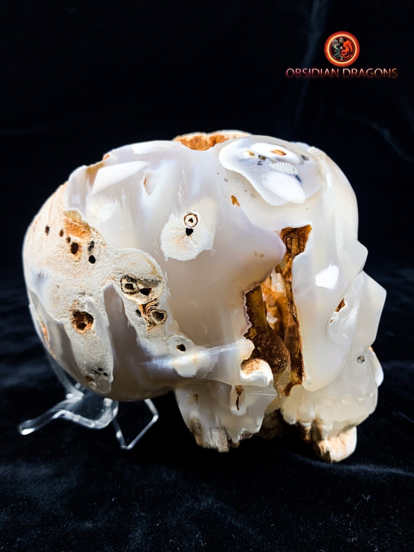 Crâne de cristal d'exception- Concrétions stalactiformes
