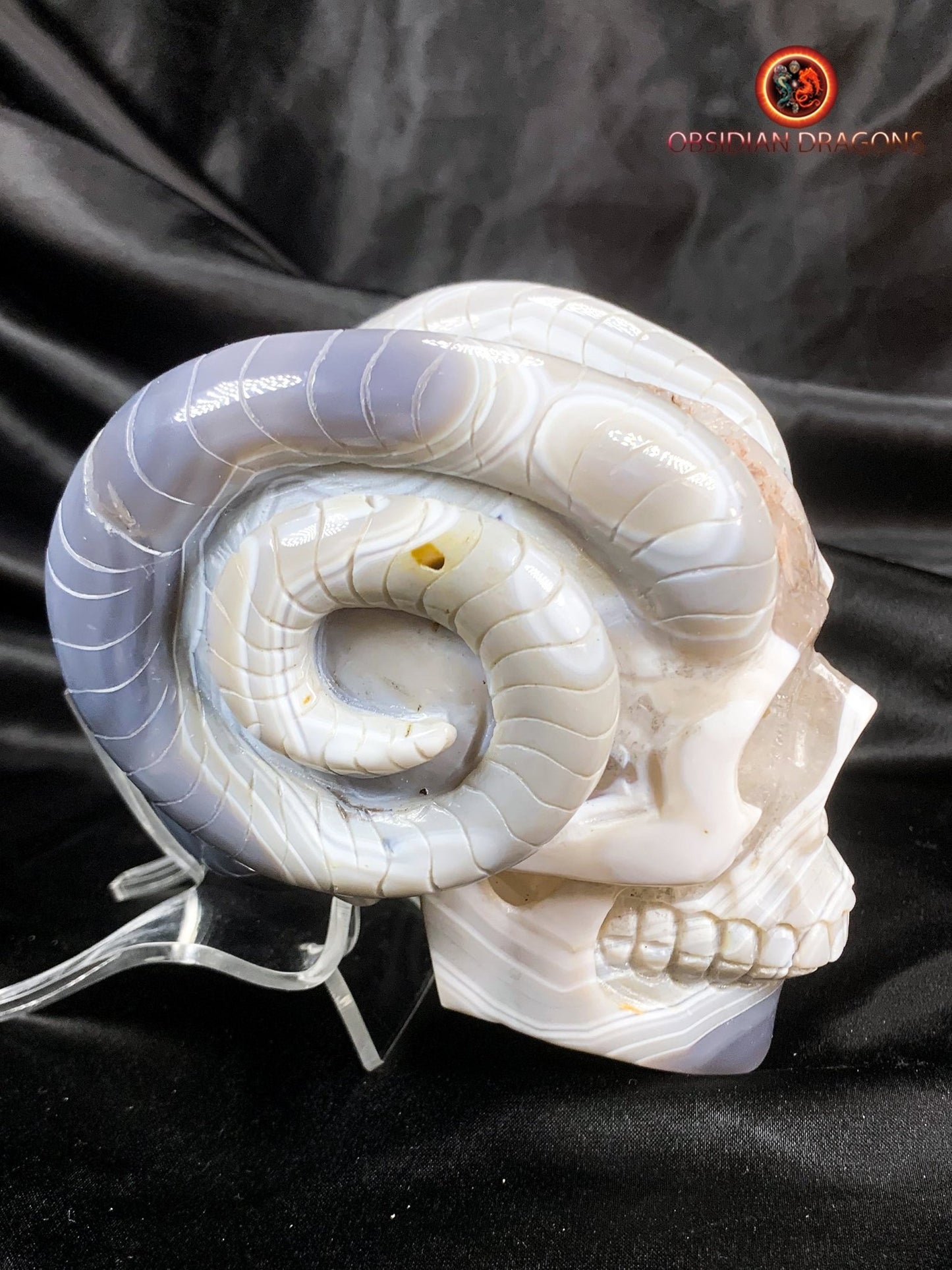 Crâne de cristal cornu- Géode de quartz- Unique