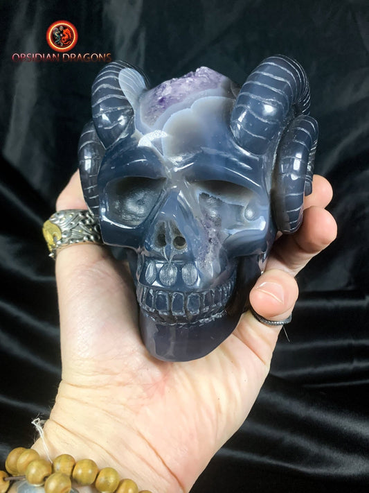 Crâne de cristal cornu- Géode d'améthyste- Unique