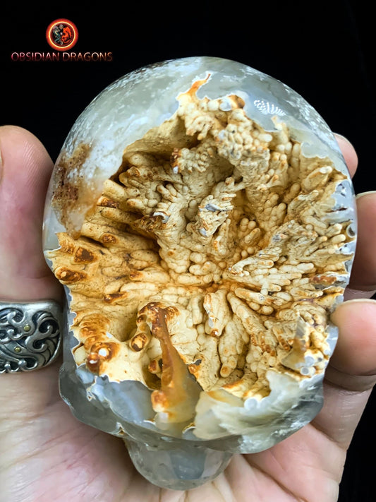 Crâne de cristal Rare- Concrétions stalactiformes