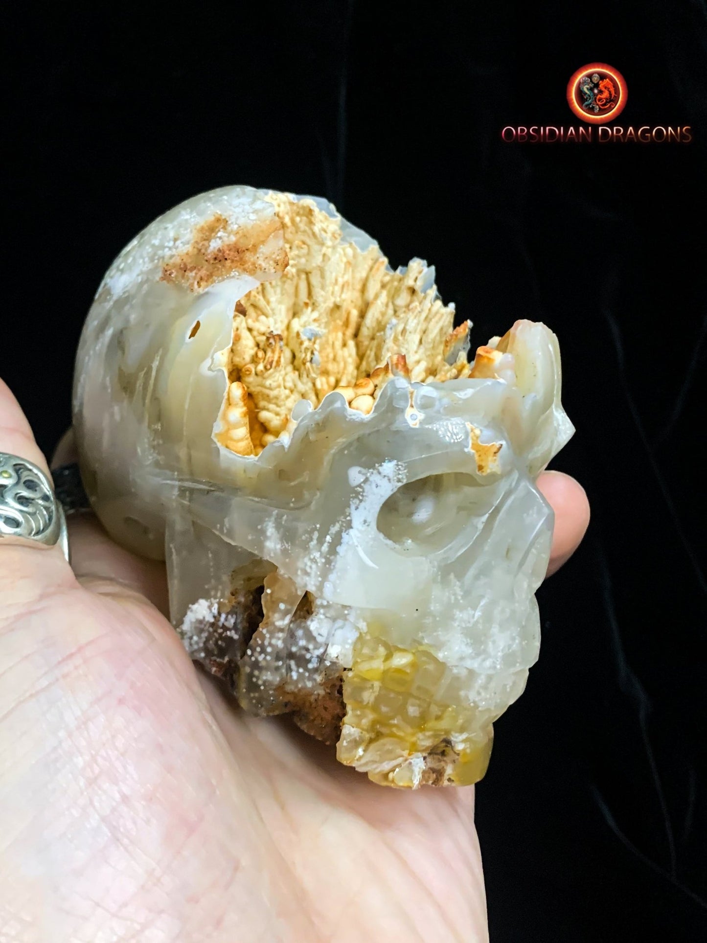 Crâne de cristal Rare- Concrétions stalactiformes