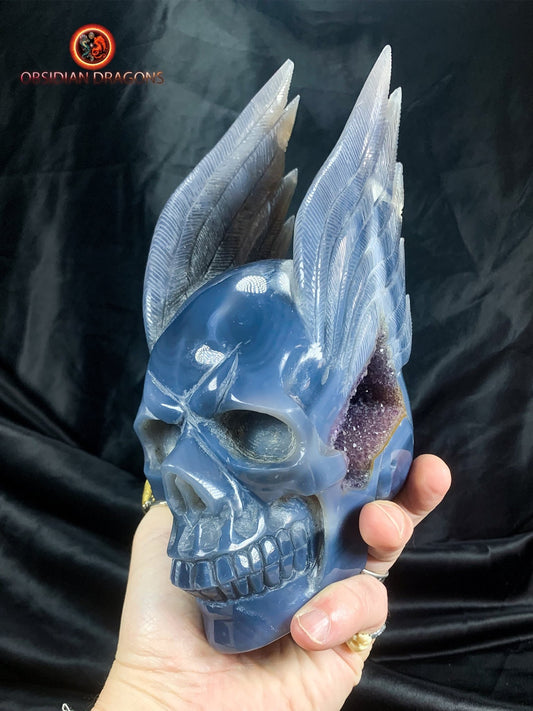 Crâne de cristal ailé- géode d'améthyste- rare et exceptionnel