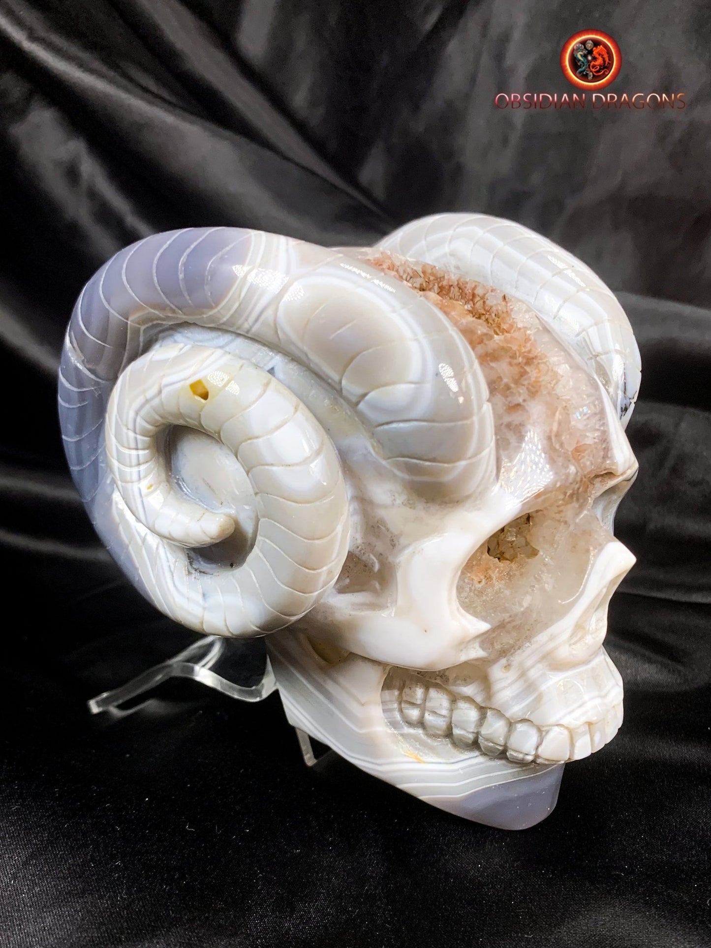Crâne de cristal cornu- Géode de quartz- Unique