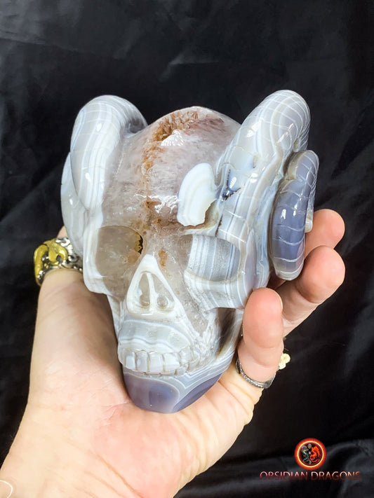 Crâne de cristal cornu- Géode de quartz- Unique