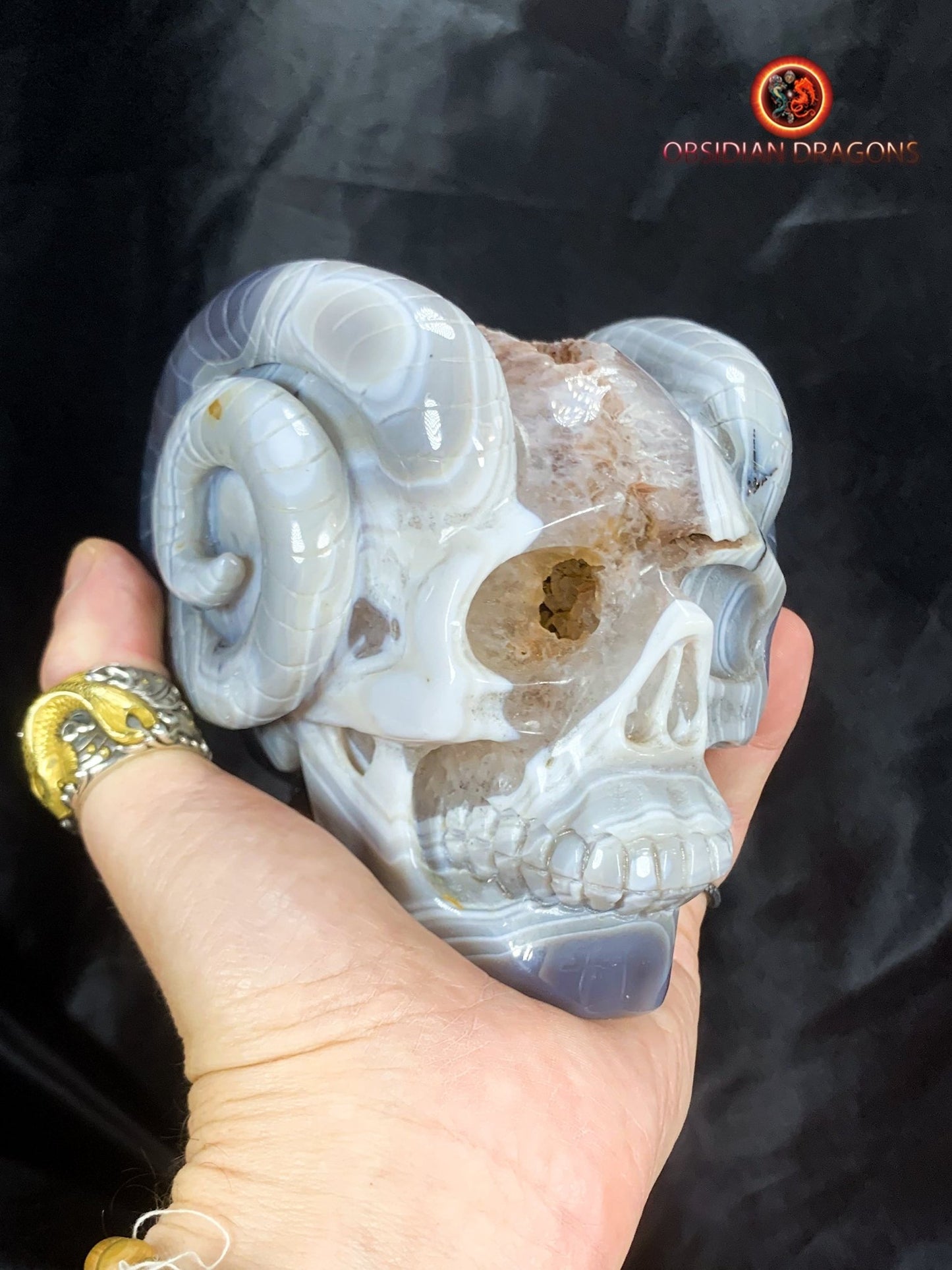Crâne de cristal cornu- Géode de quartz- Unique