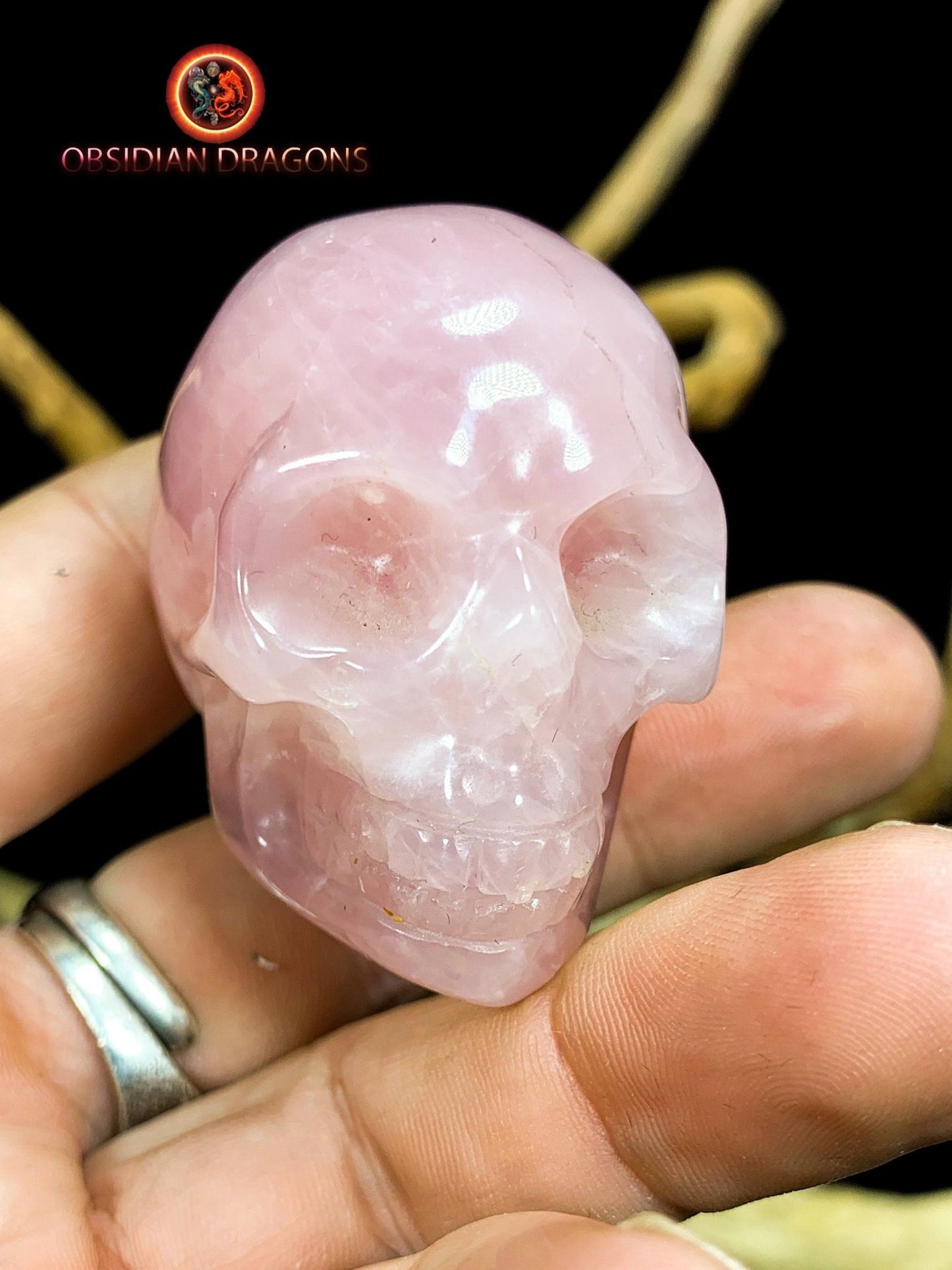 Crane de cristal. Crane sculpté en pierre naturelle. Crane en quartz rose naturel. Pièce unique. vanité, tete de mort - obsidian dragon
