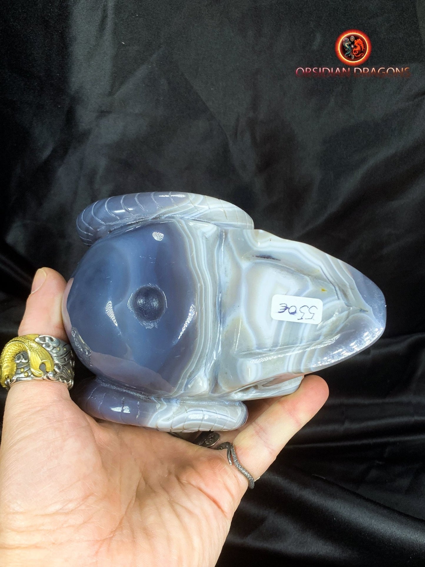 Crâne de cristal cornu- Géode de quartz- Unique