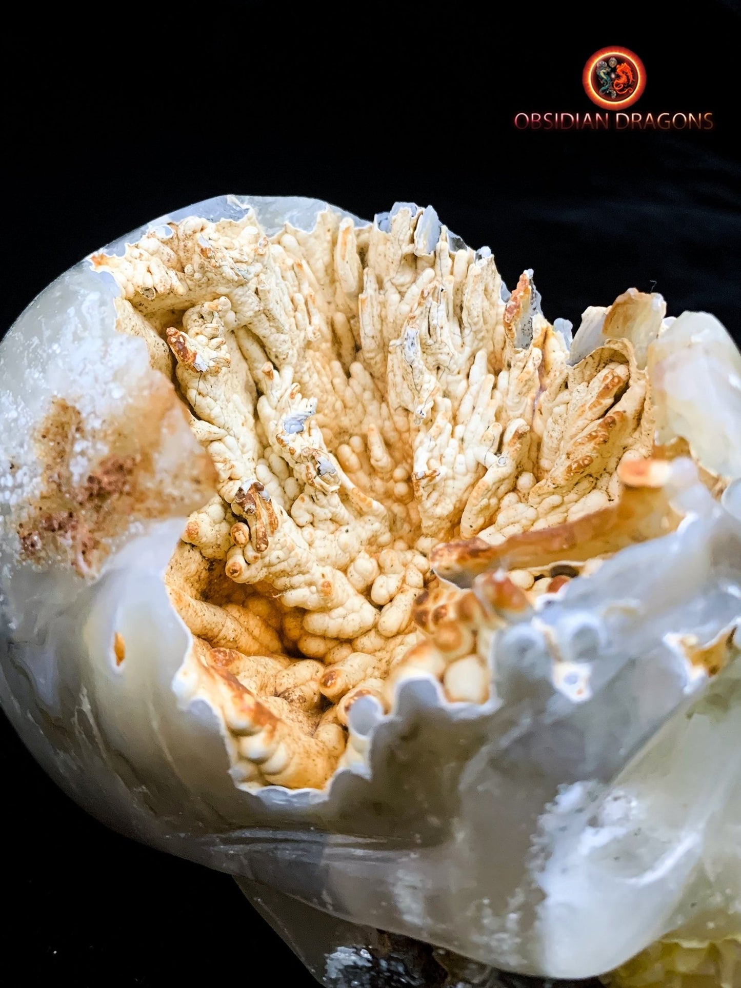 Crâne de cristal Rare- Concrétions stalactiformes