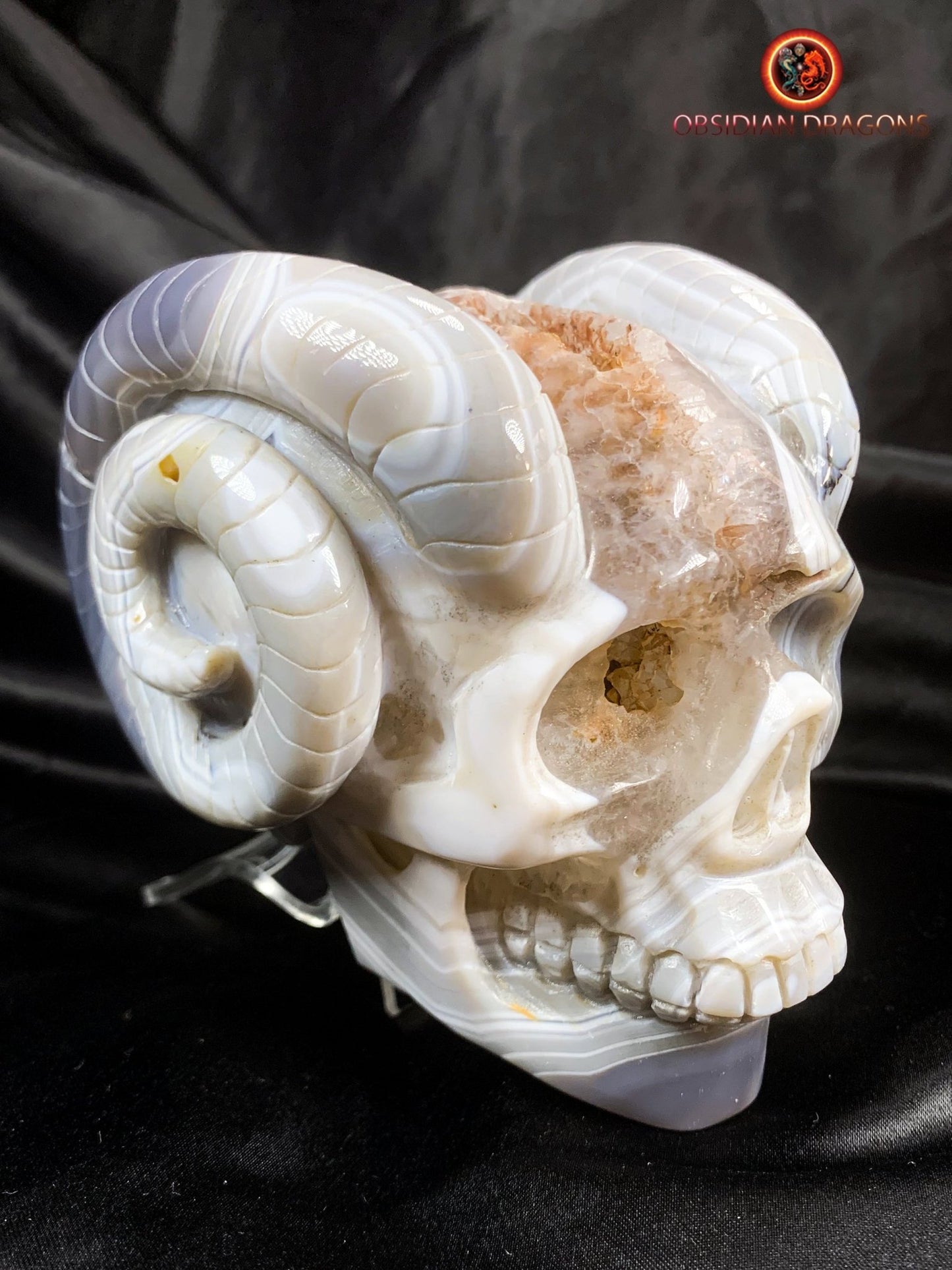 Crâne de cristal cornu- Géode de quartz- Unique