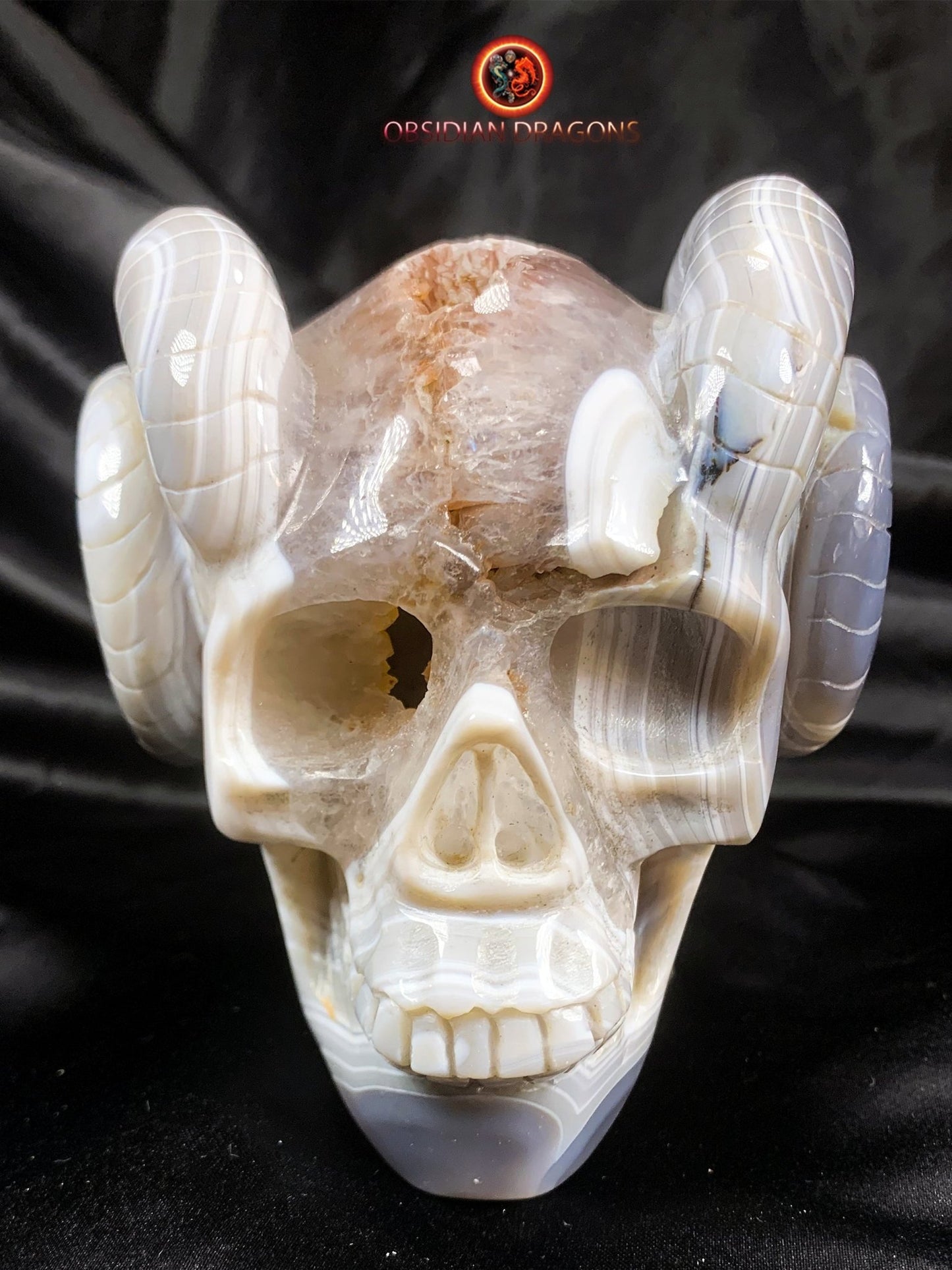 Crâne de cristal cornu- Géode de quartz- Unique