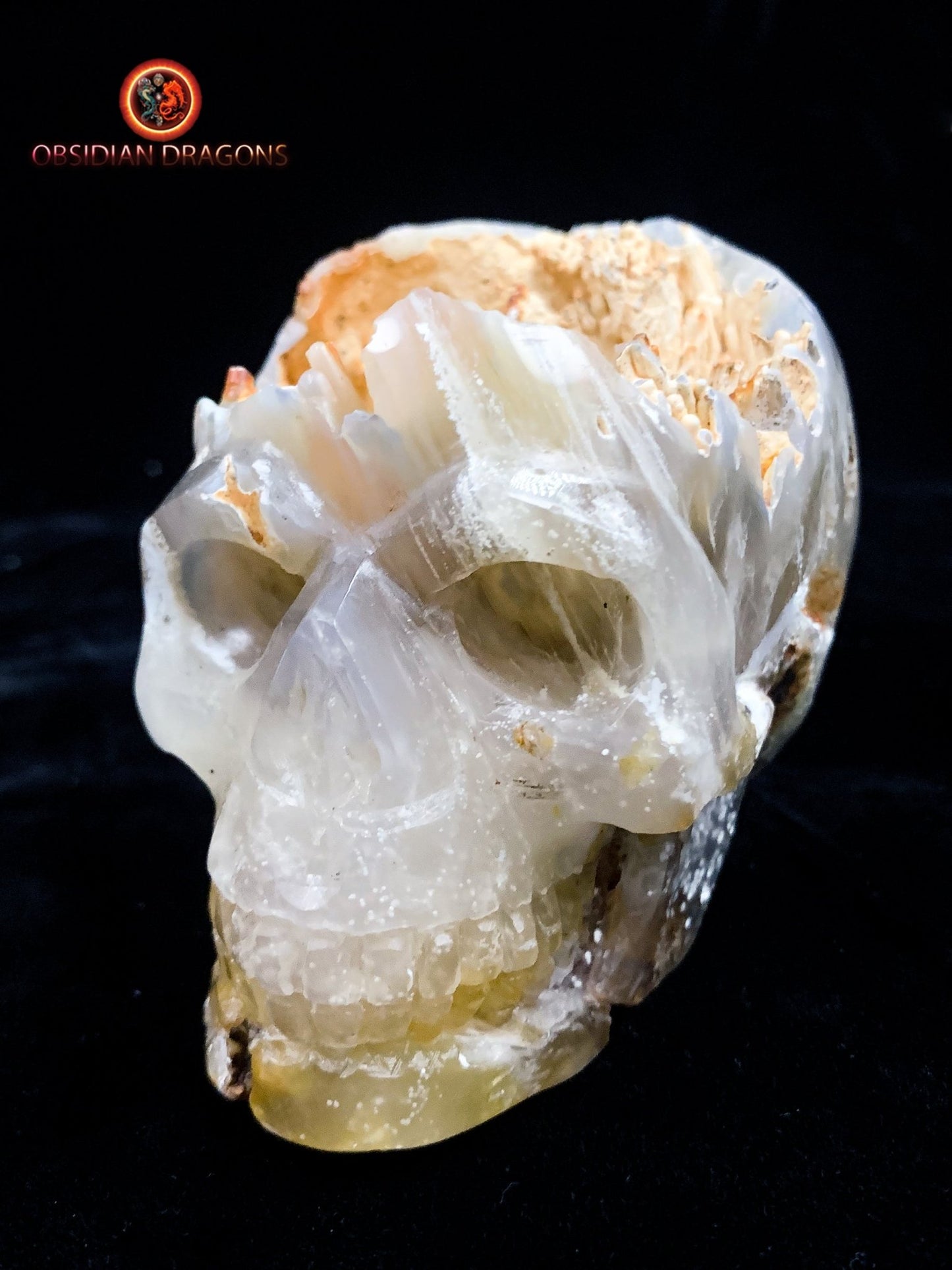 Crâne de cristal Rare- Concrétions stalactiformes