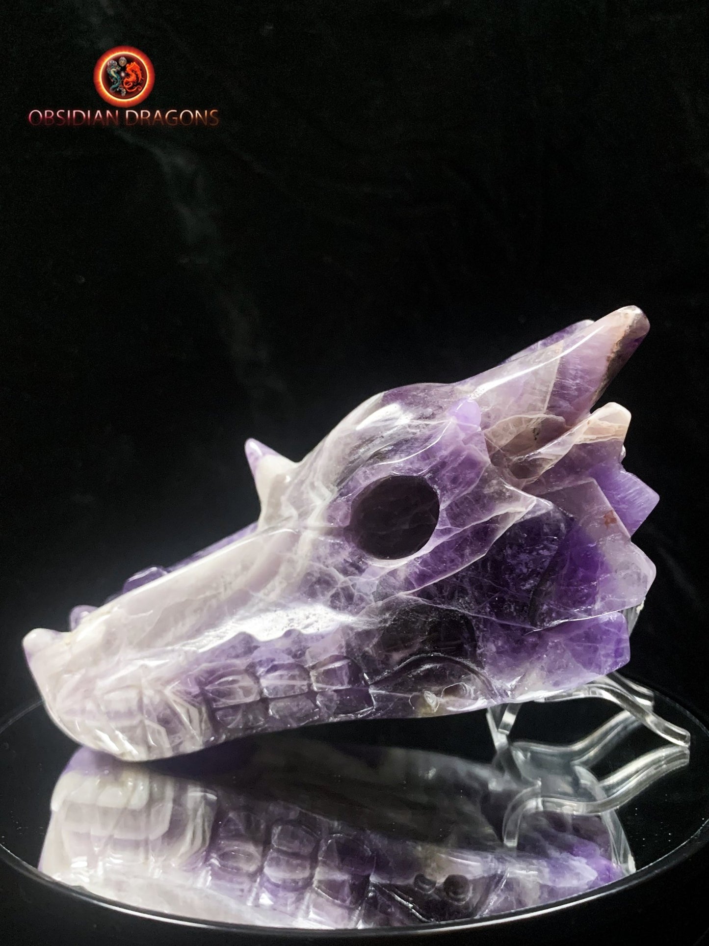 Crâne de dragon en améthyste chevron- Unique
