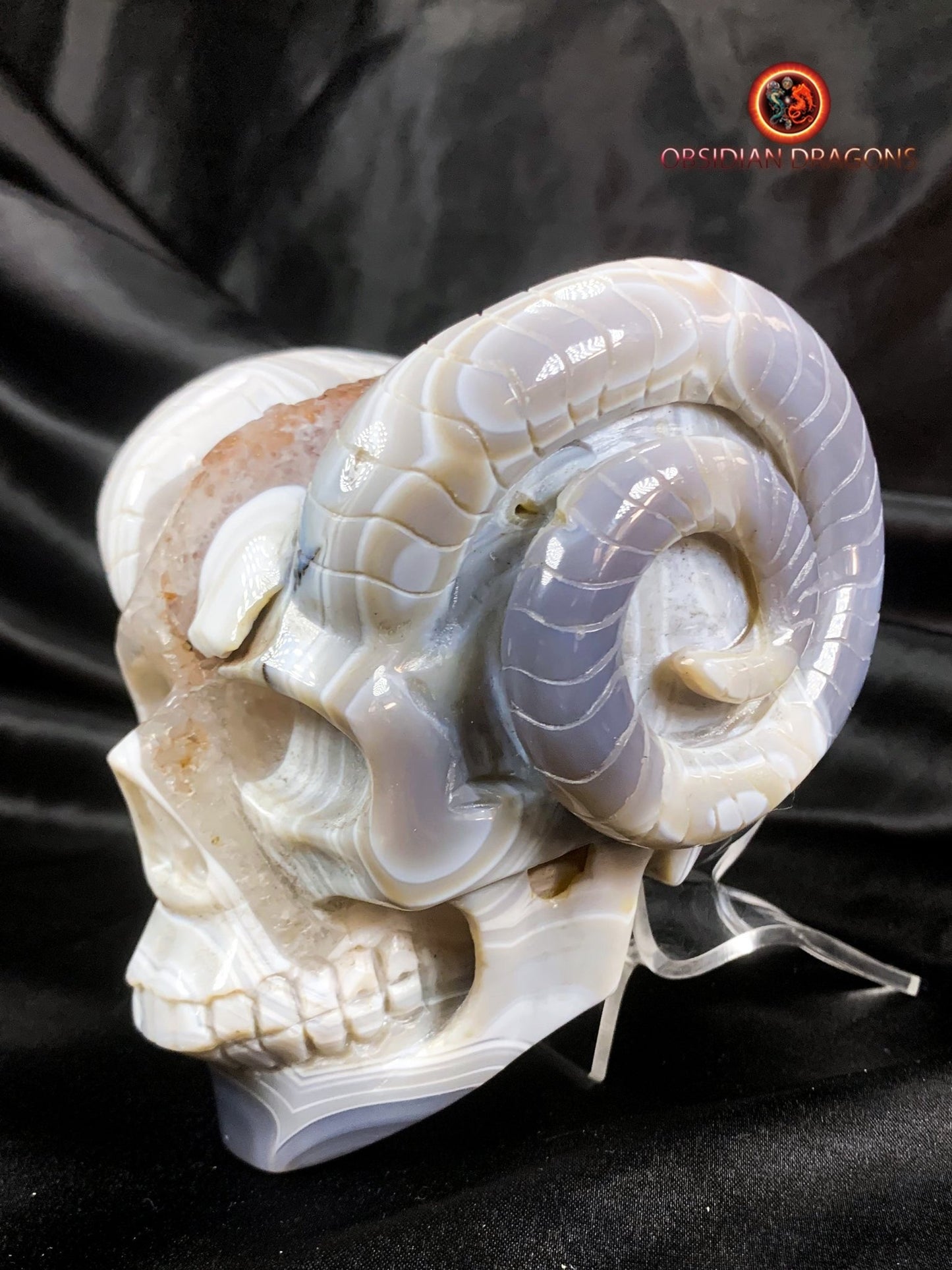 Crâne de cristal cornu- Géode de quartz- Unique