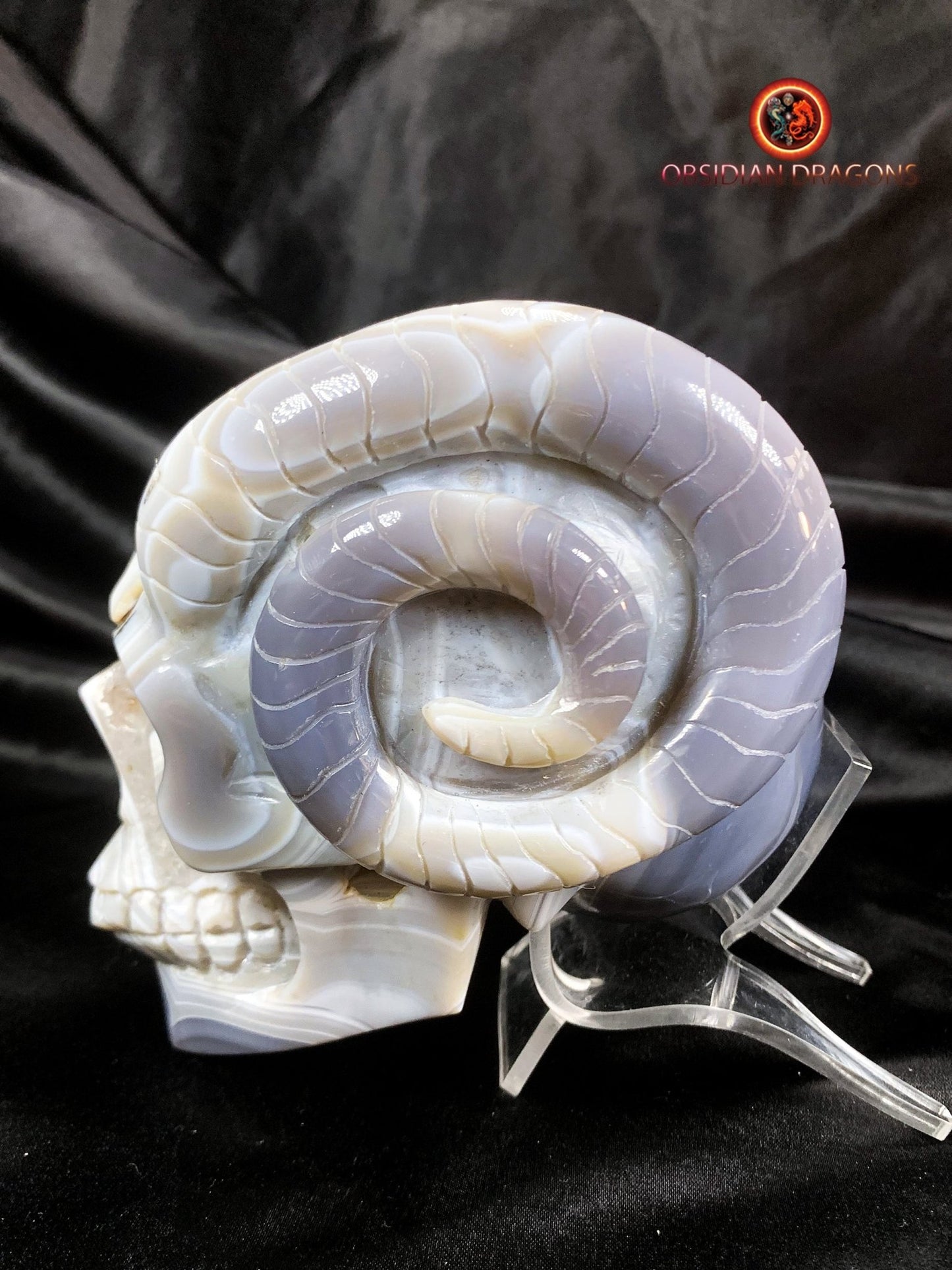 Crâne de cristal cornu- Géode de quartz- Unique