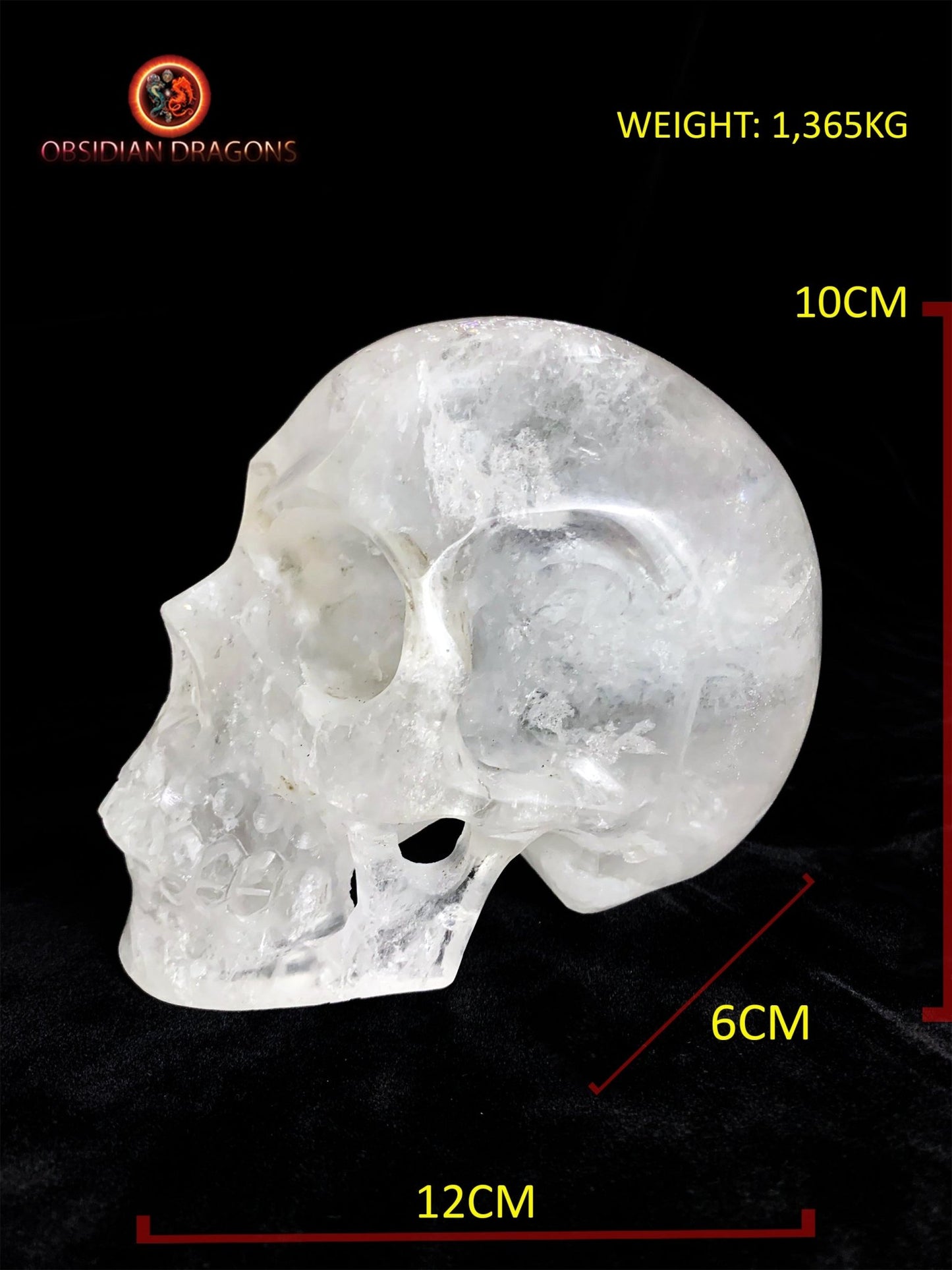 Grand crâne de cristal de roche himalayen- Unique