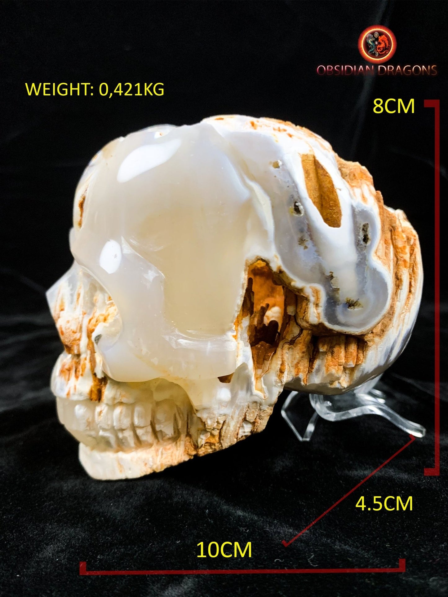Crâne de cristal d'exception- Concrétions stalactiformes