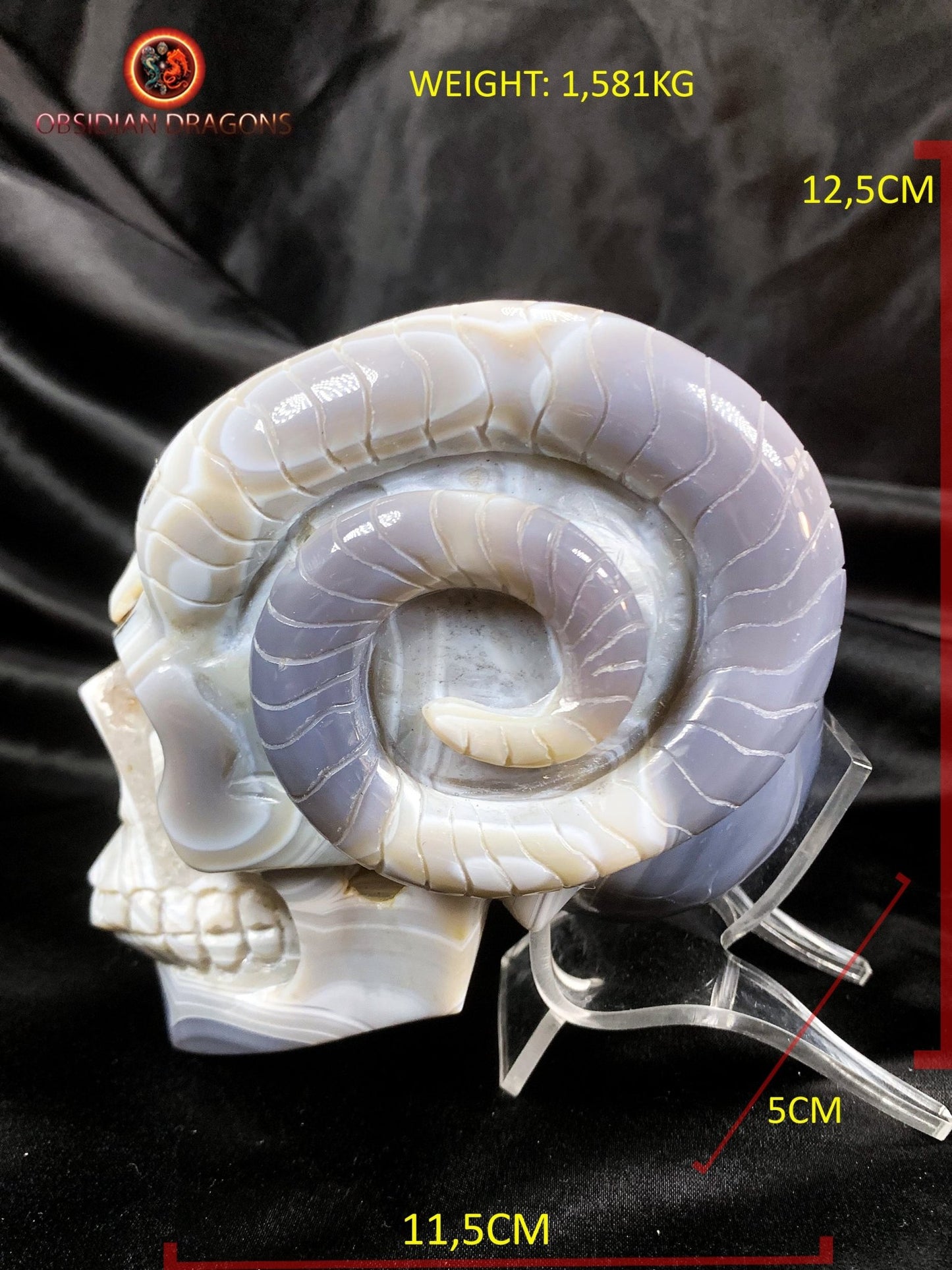 Crâne de cristal cornu- Géode de quartz- Unique