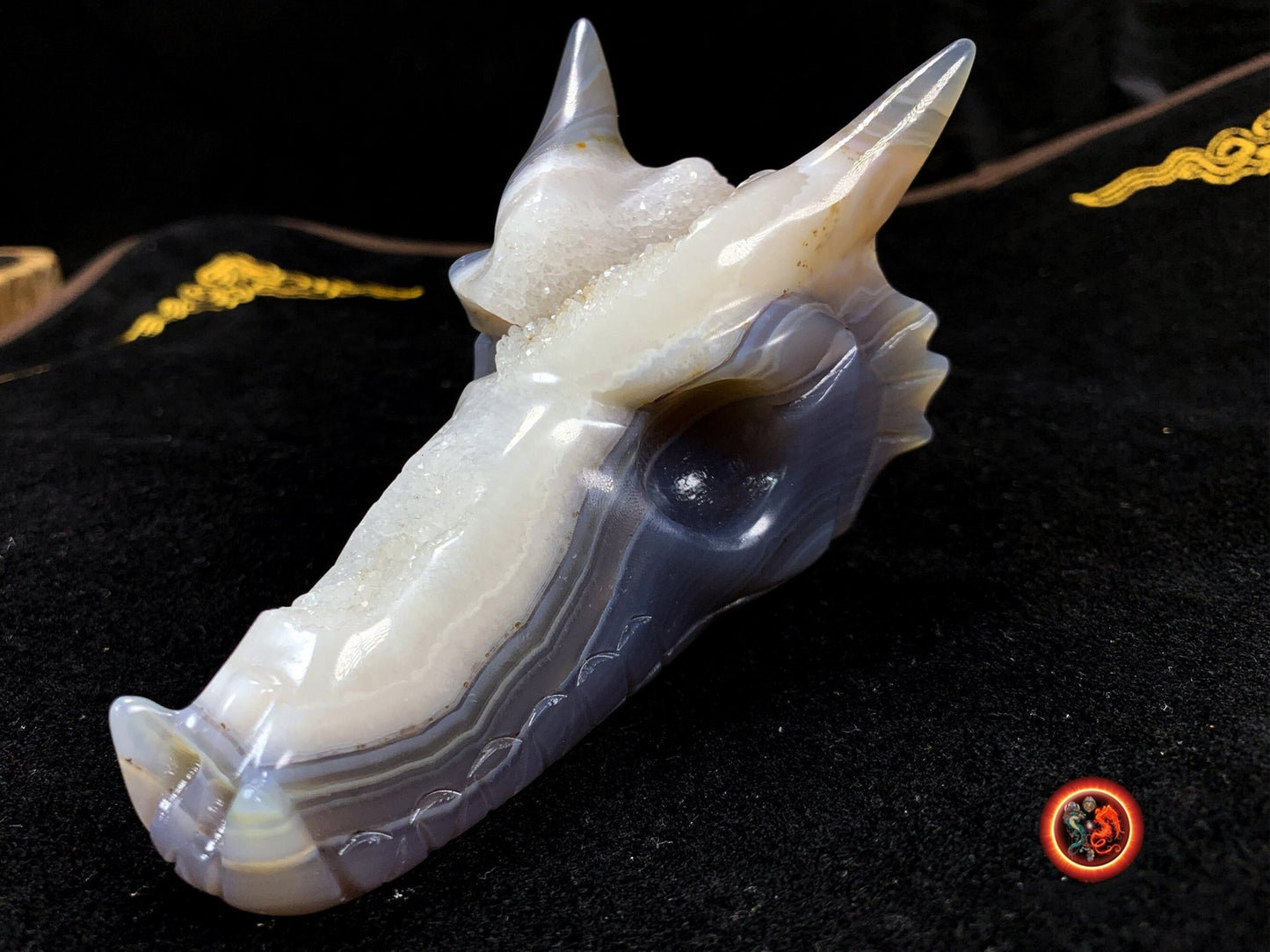 crâne de dragon, artisanal, pièce unique.