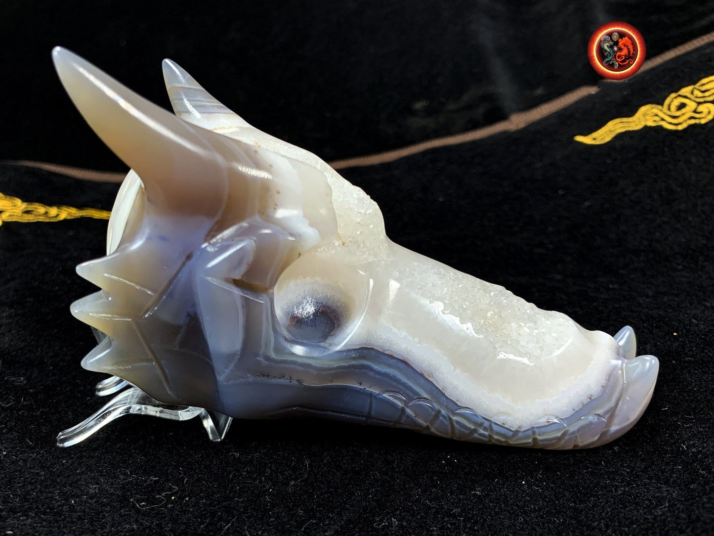 crâne de dragon, artisanal, pièce unique.