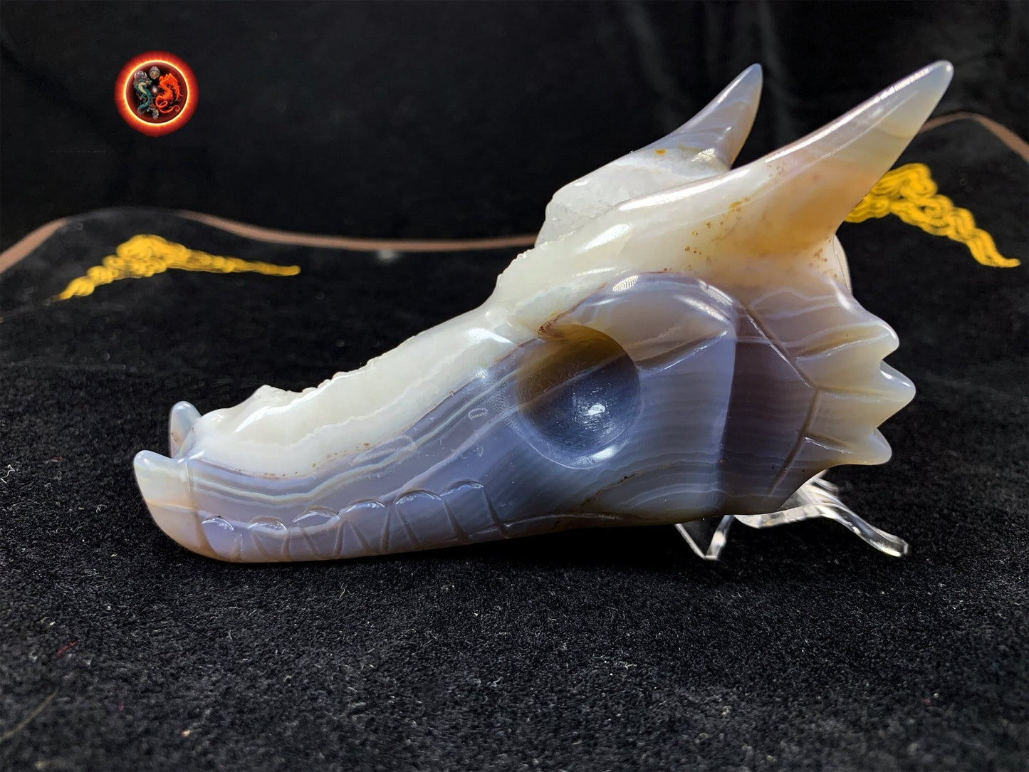 crâne de dragon, artisanal, pièce unique.