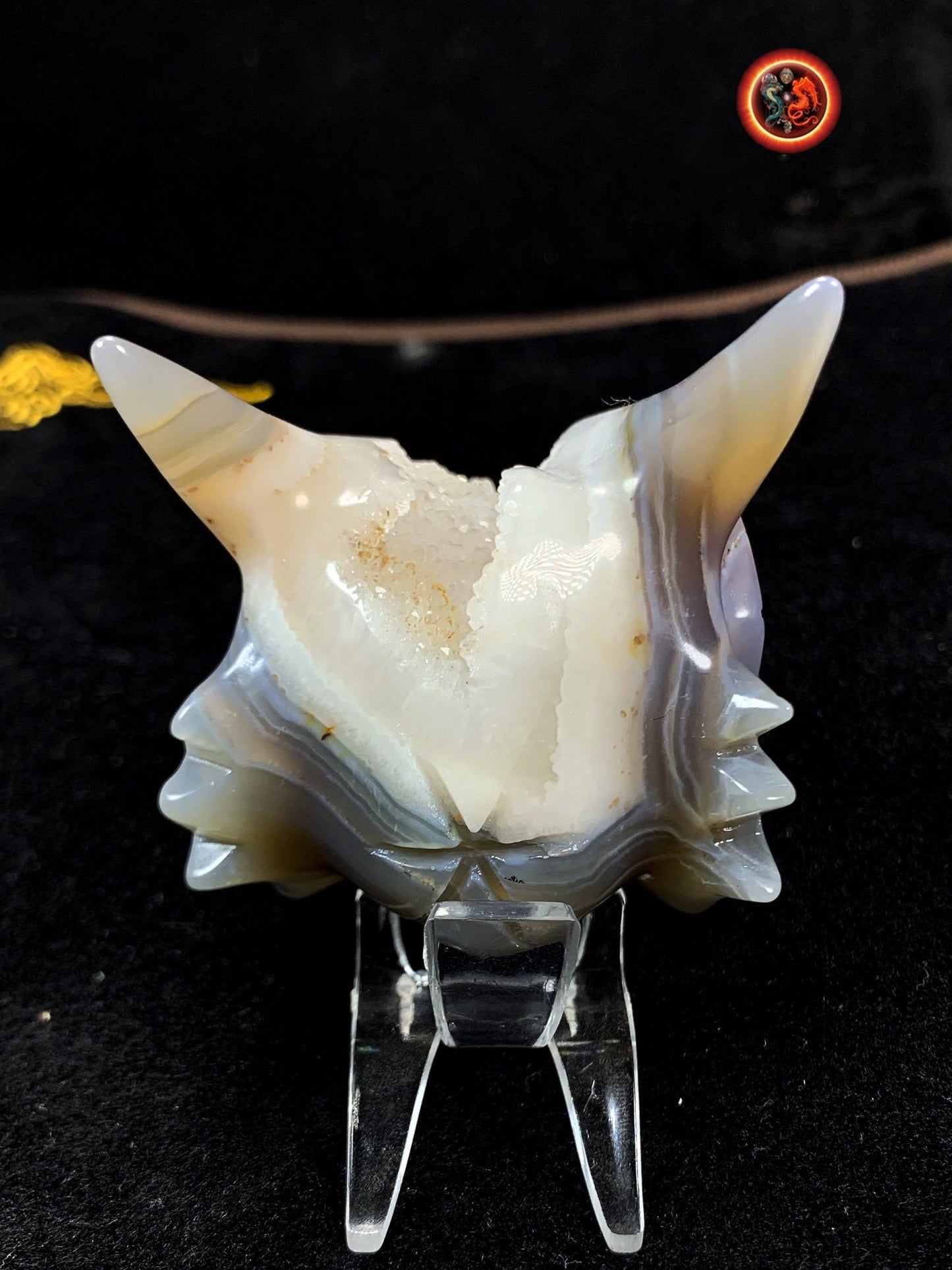 crâne de dragon, artisanal, pièce unique.