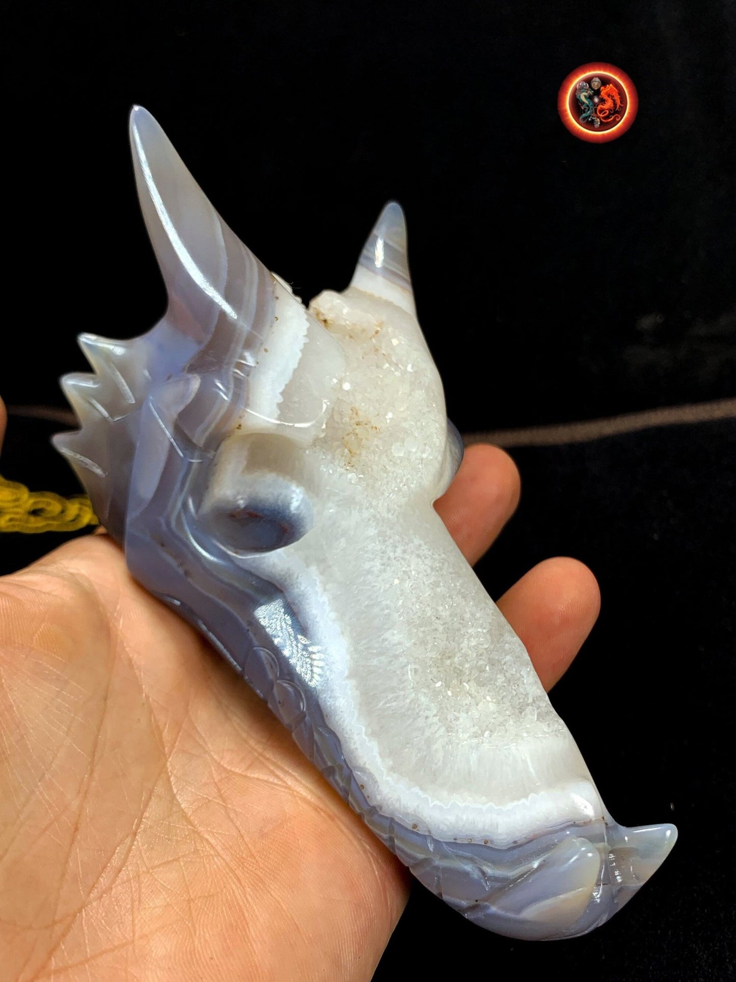 crâne de dragon, artisanal, pièce unique.