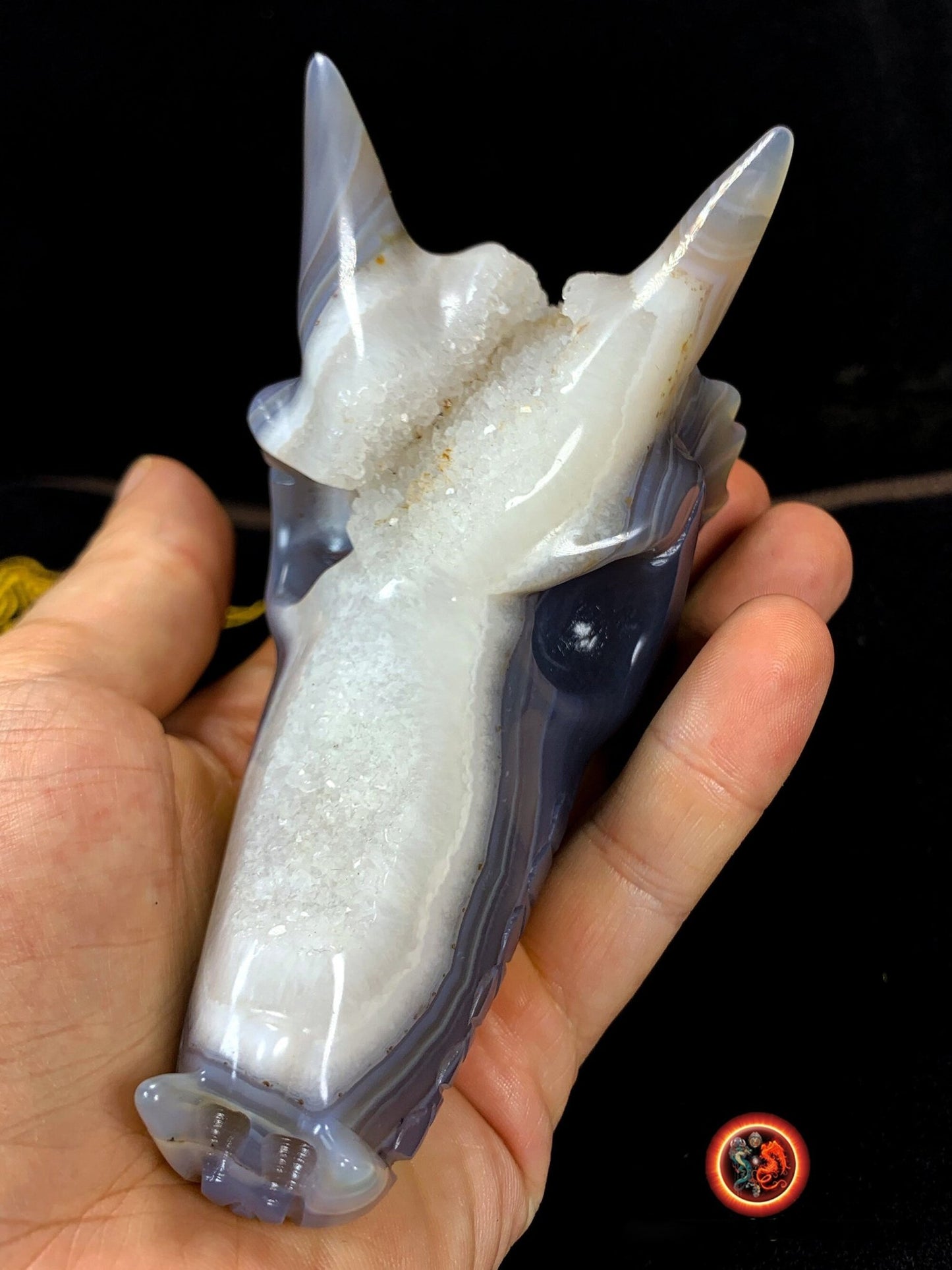 crâne de dragon, artisanal, pièce unique.